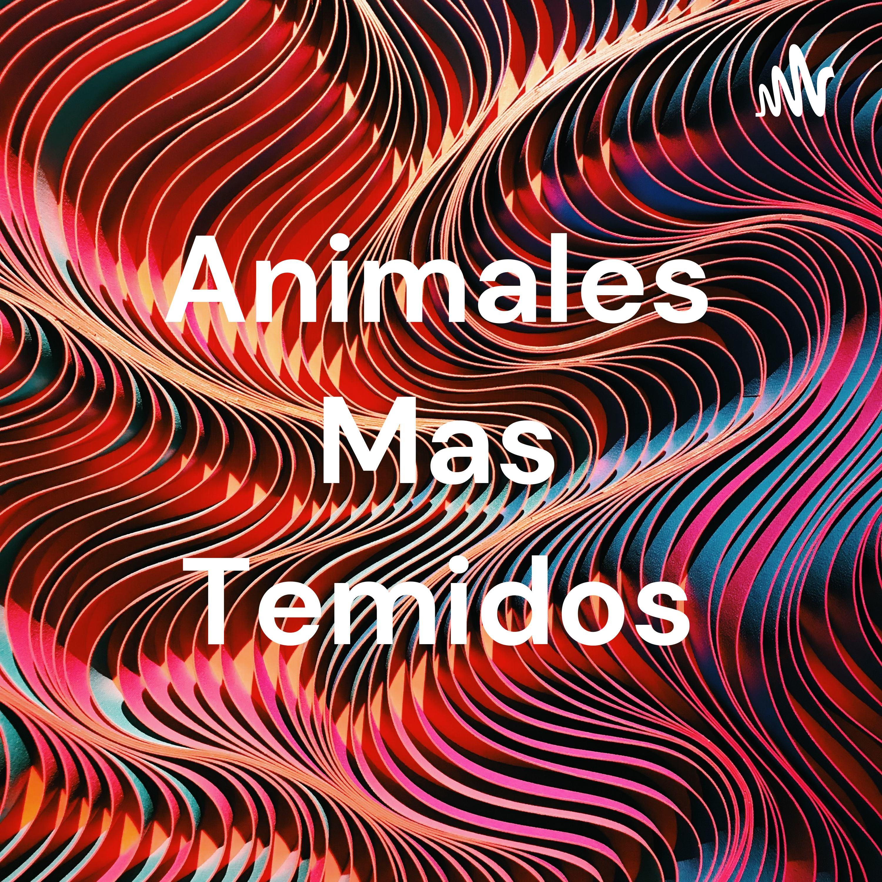 Animales Mas Temidos