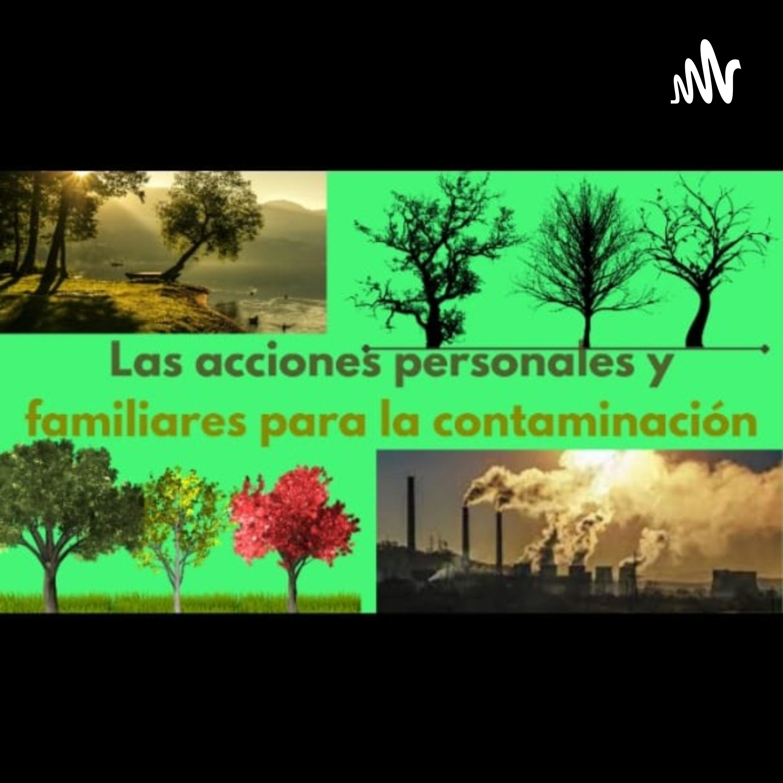 Las acciones personales y familiares para contra la contaminación
