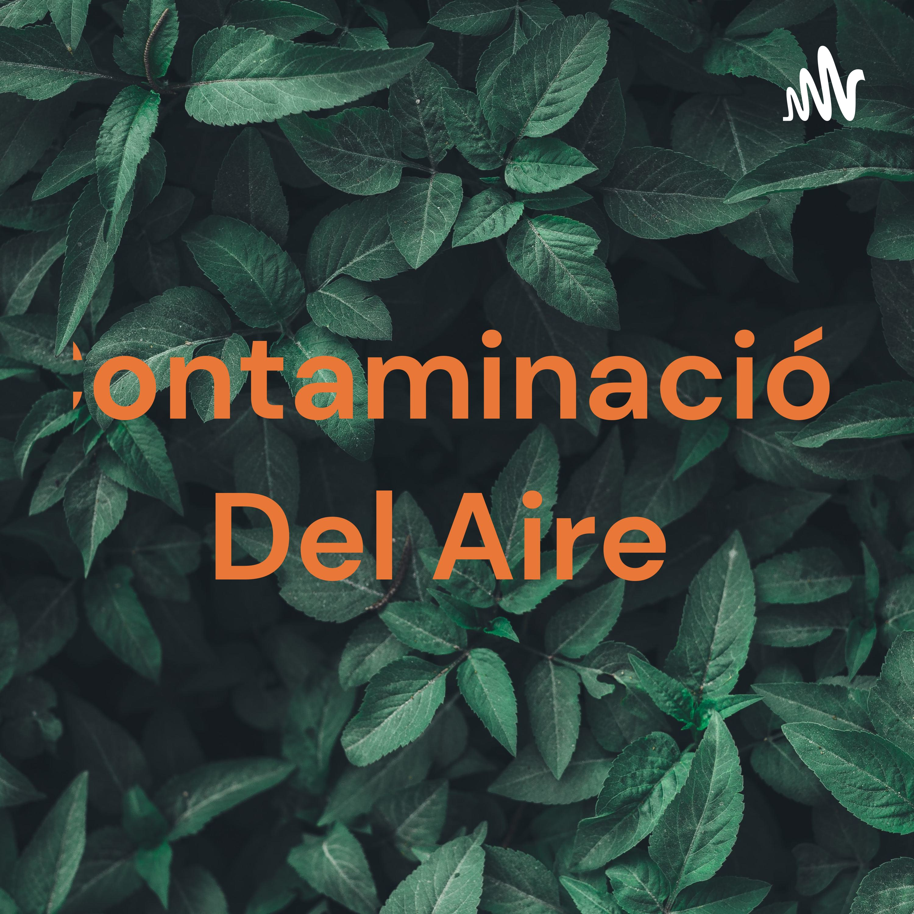 Contaminación Del Aire