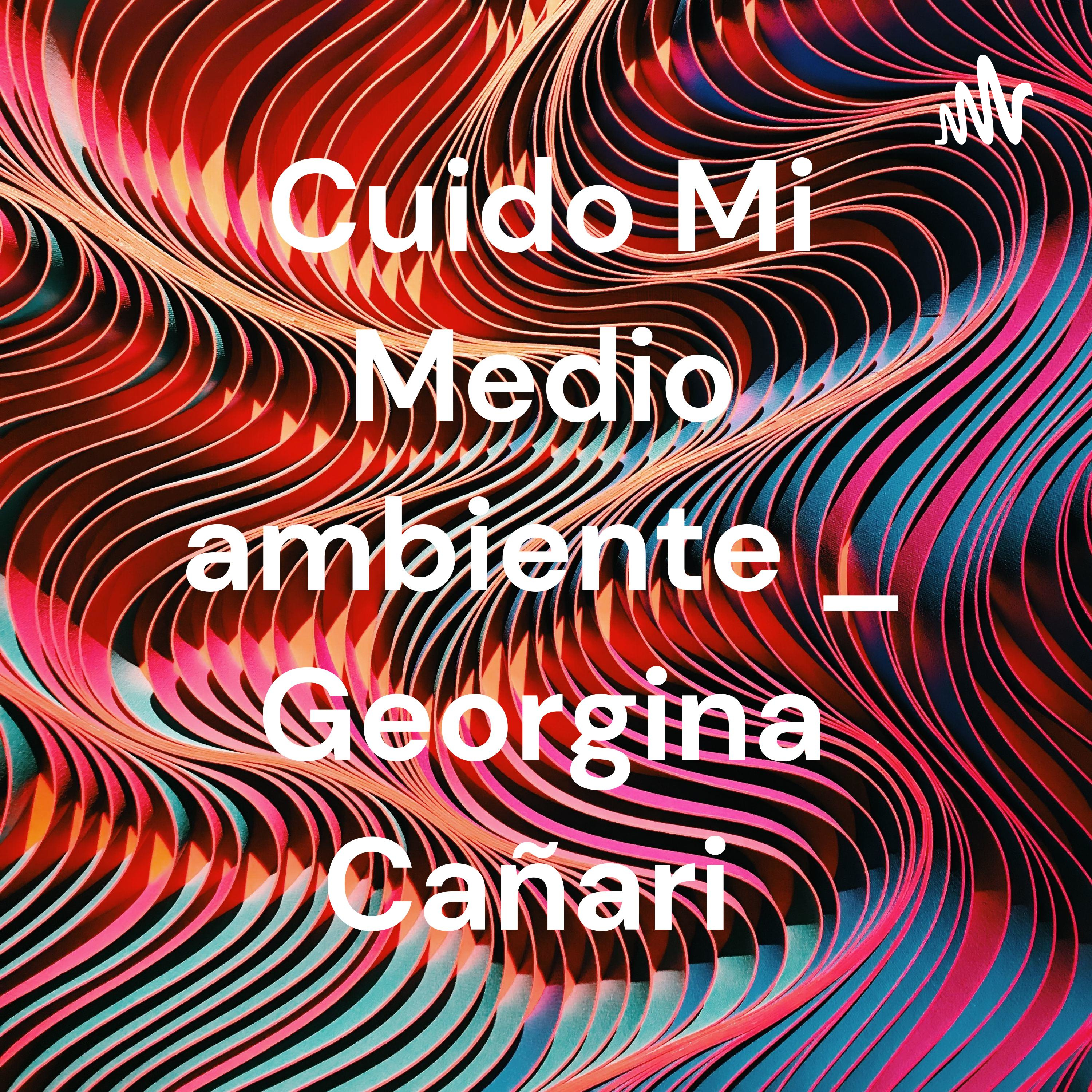 Cuido Mi Medio ambiente _ Georgina Cañari 