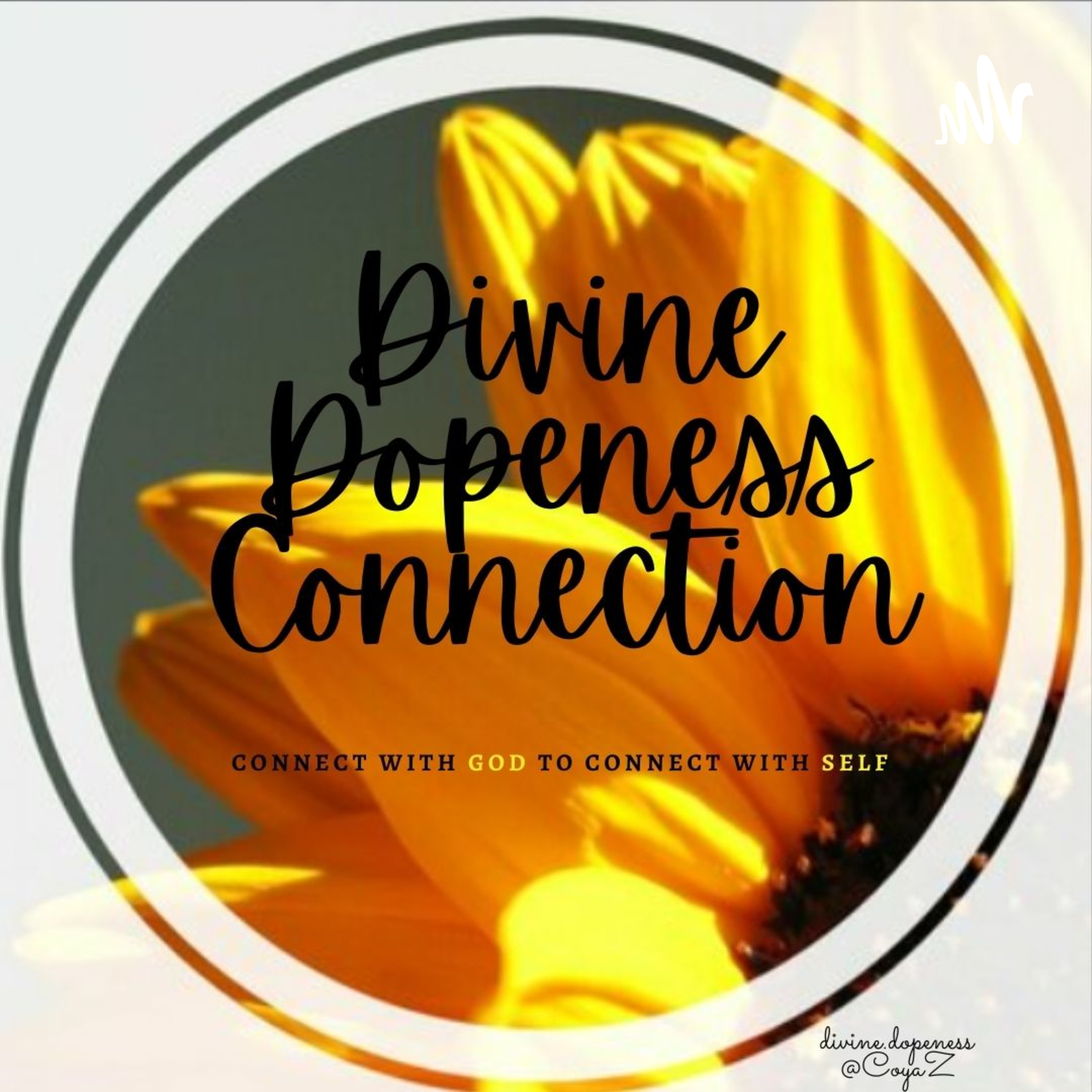 Divine Dopeness Connection 