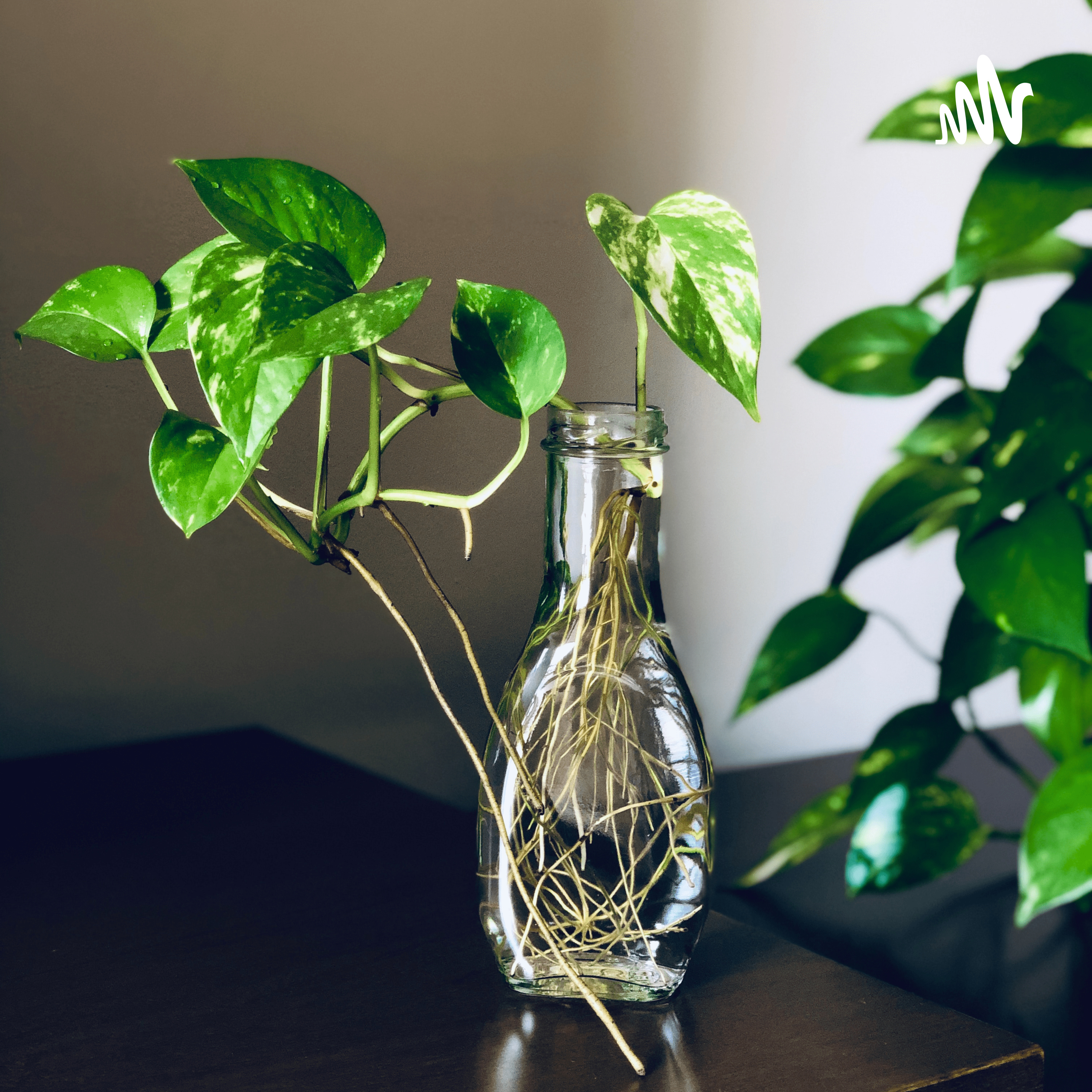 Contaminación Ambiental Del Aire Yanely Celeste Peche Girón