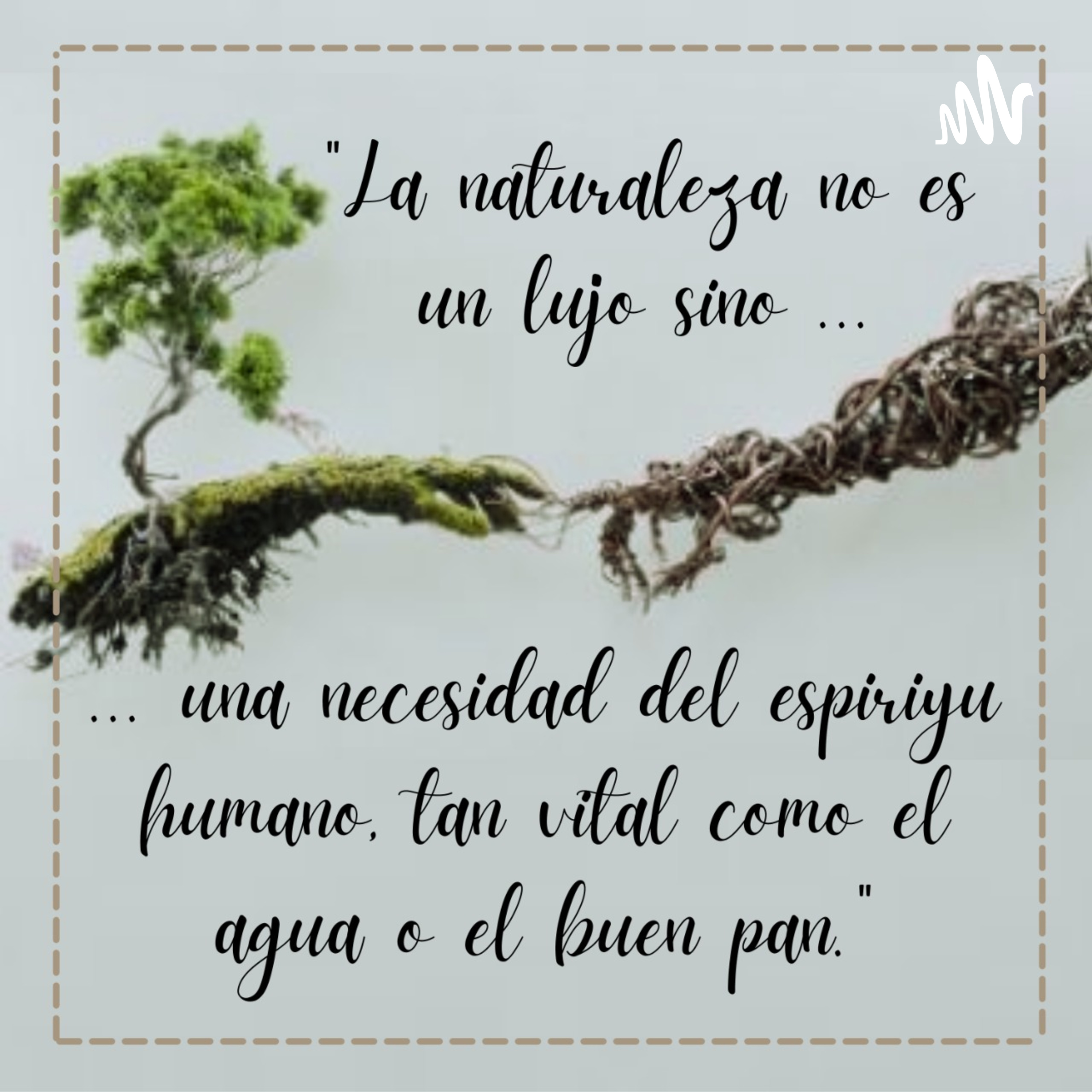 Contaminación Del Ambiente