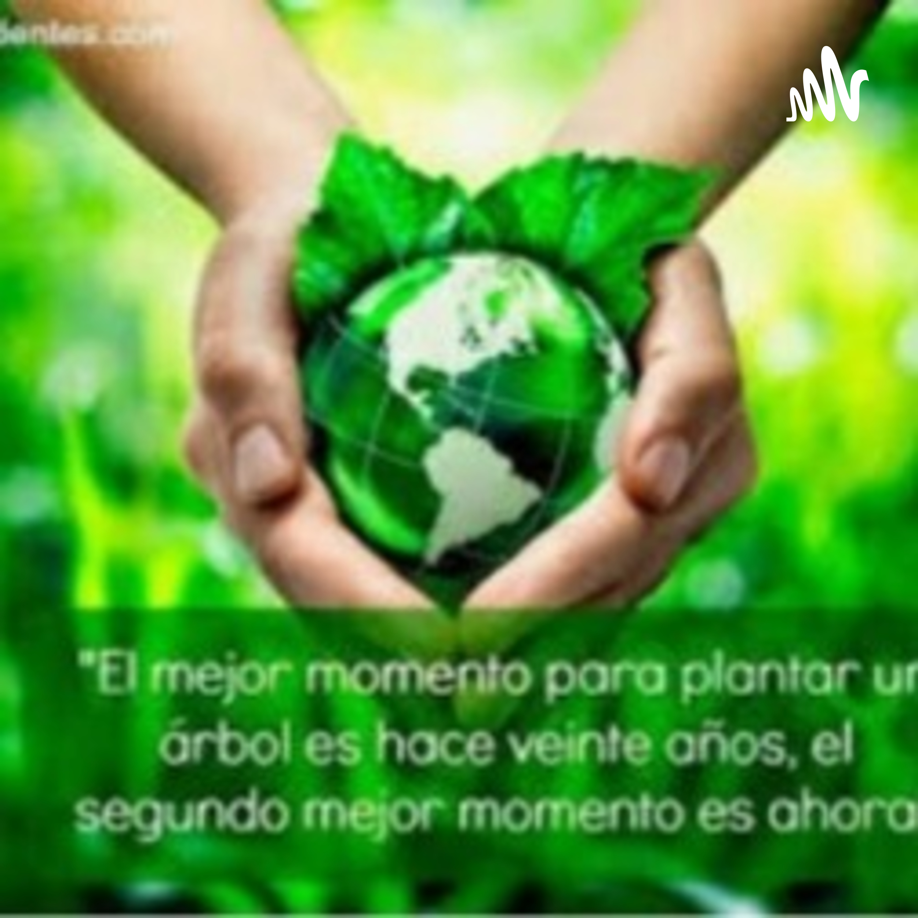 La Contaminación Ambiental