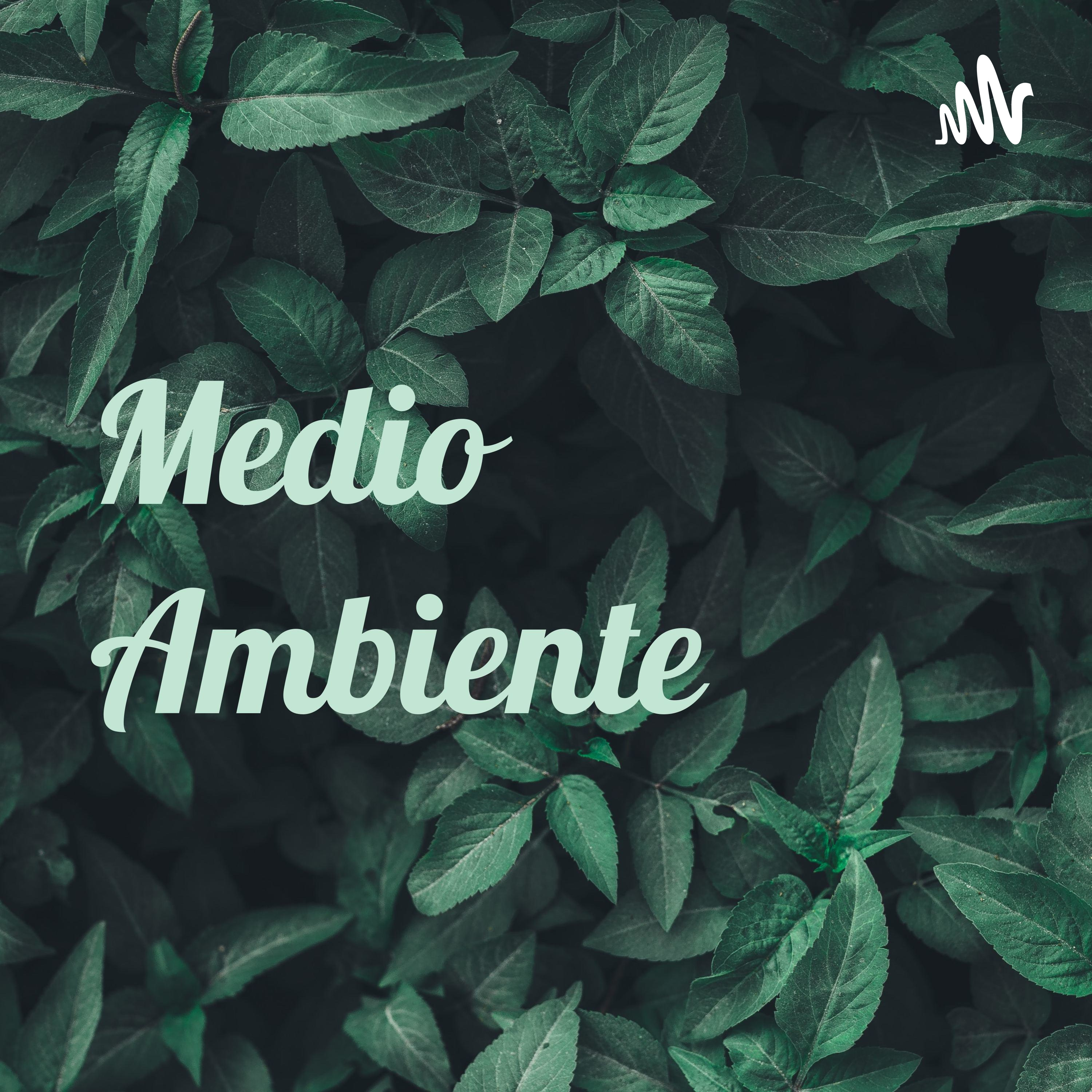 Medio Ambiente