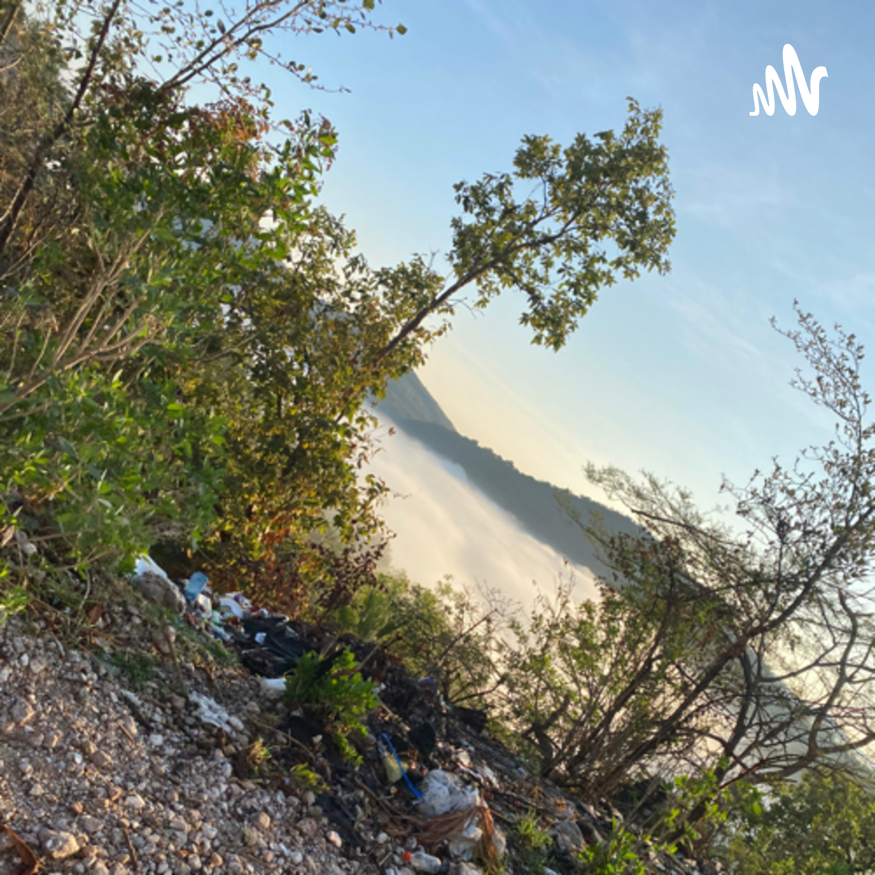 Contaminación del aire