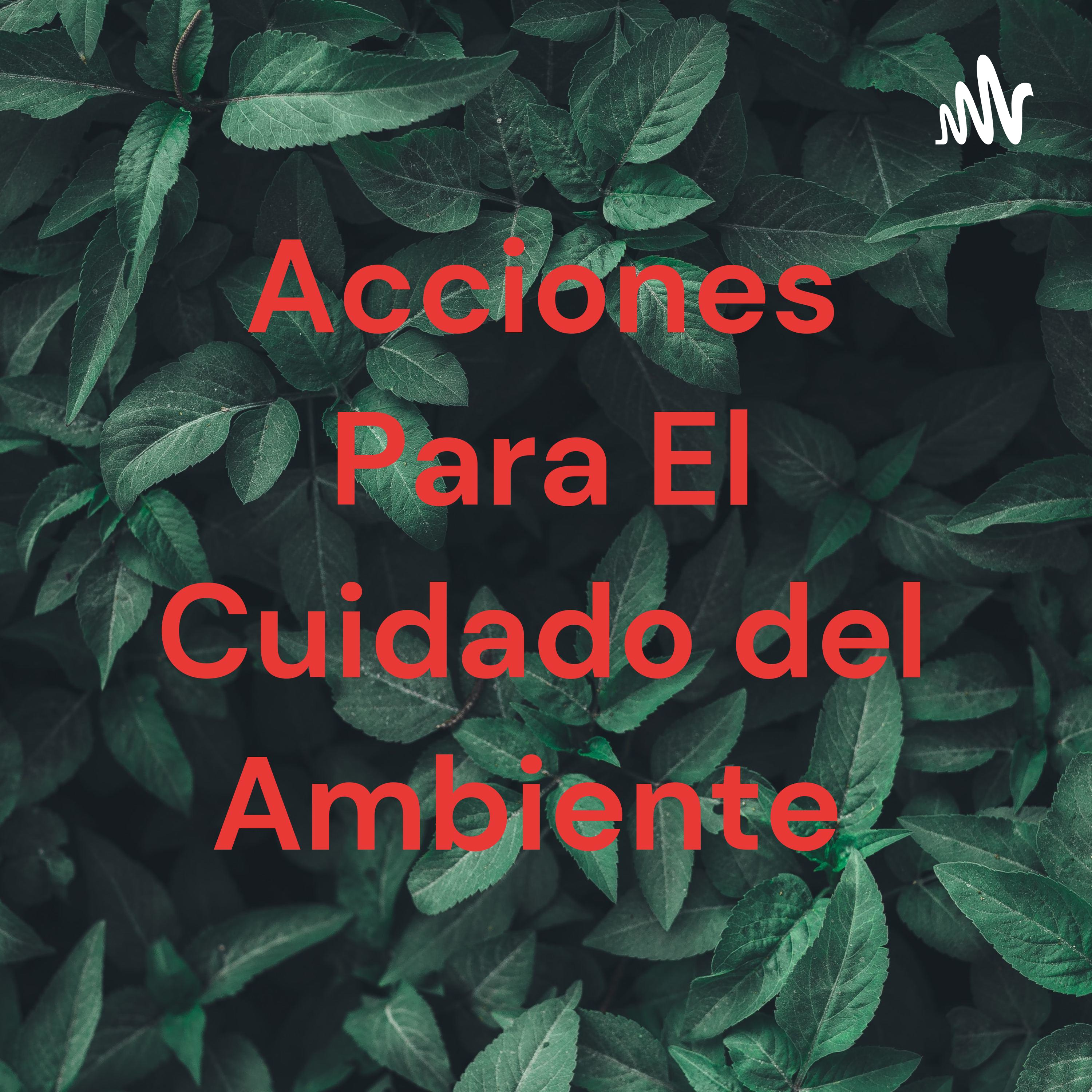 Acciones Para El Cuidado del Ambiente