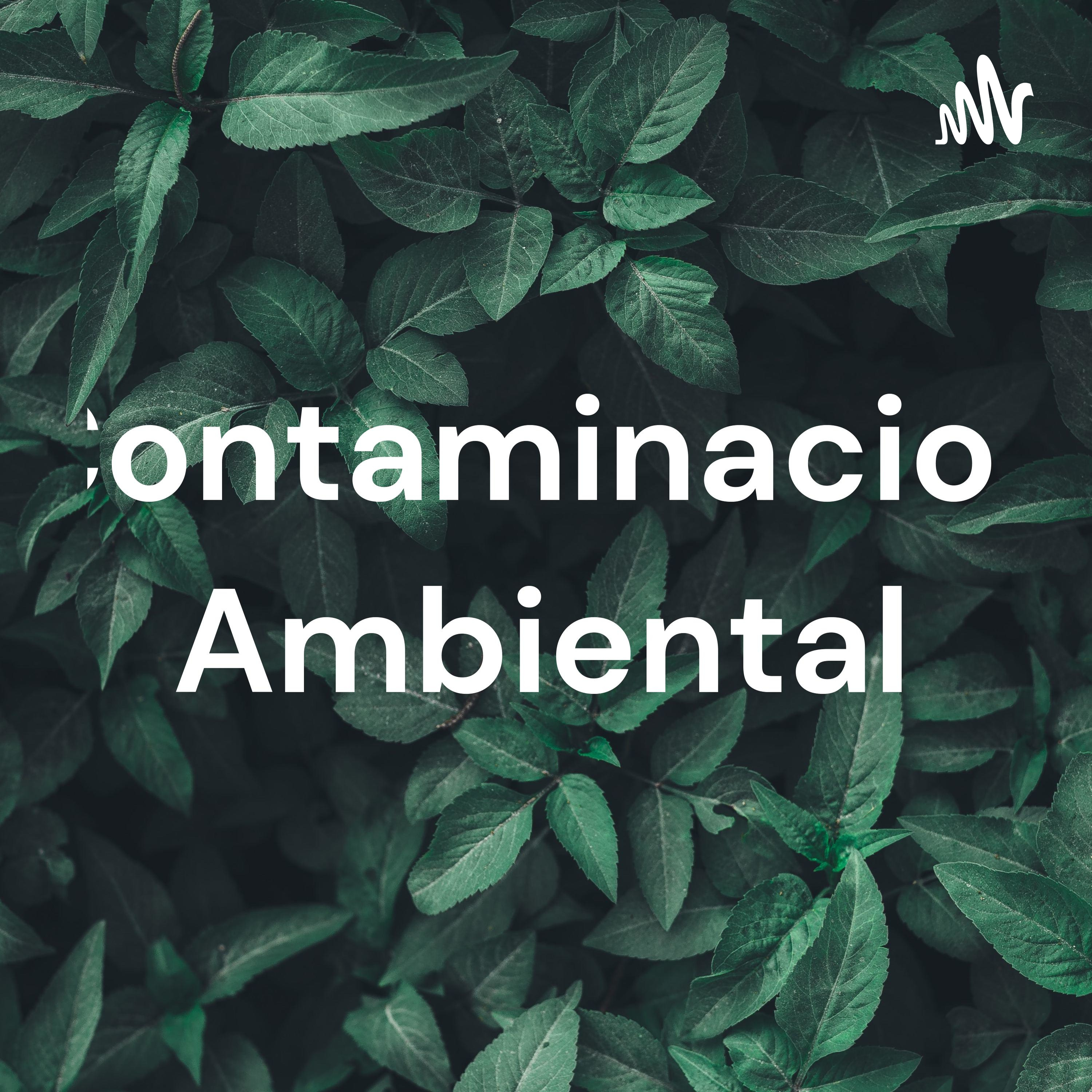 Contaminacion Ambiental