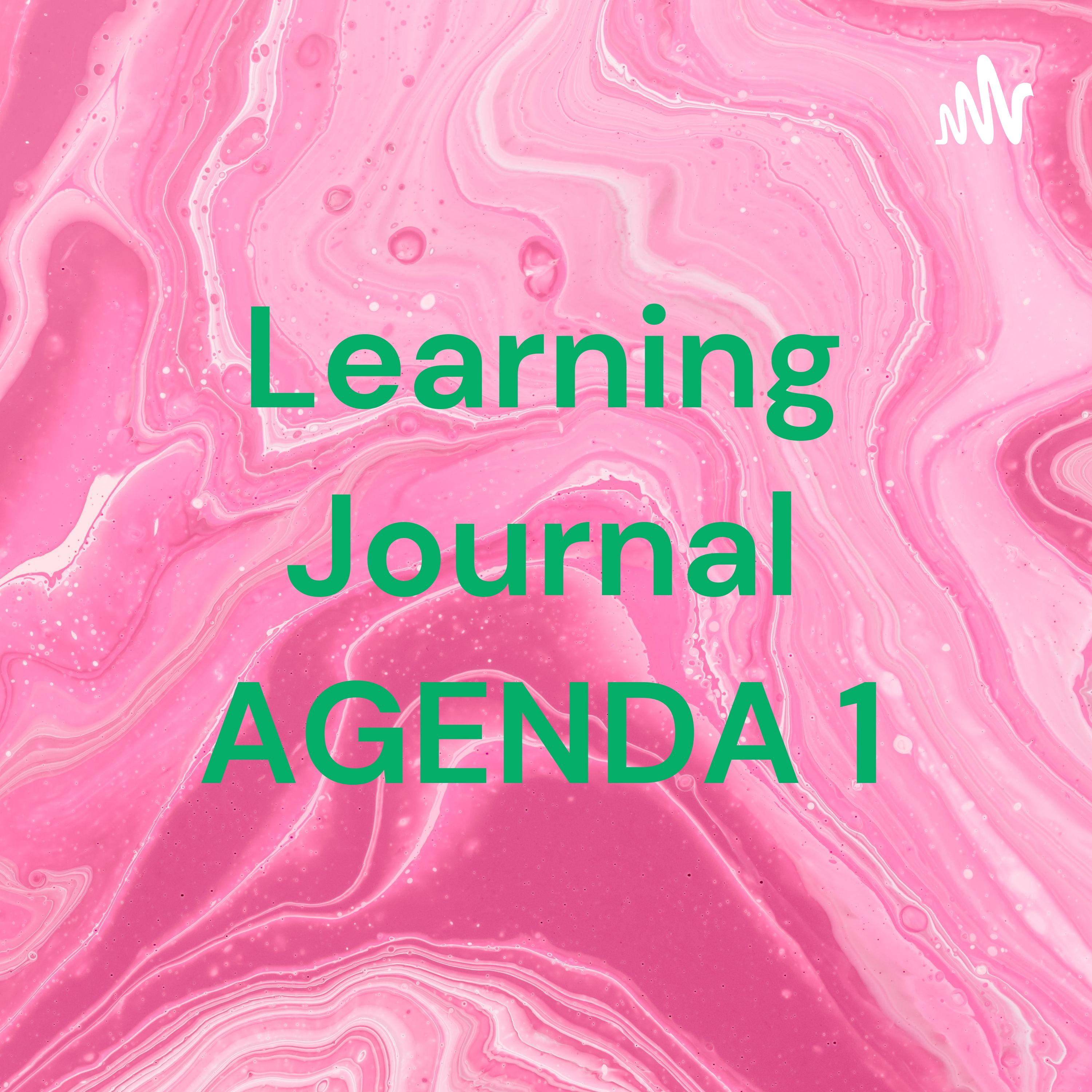 Learning Journal AGENDA 1