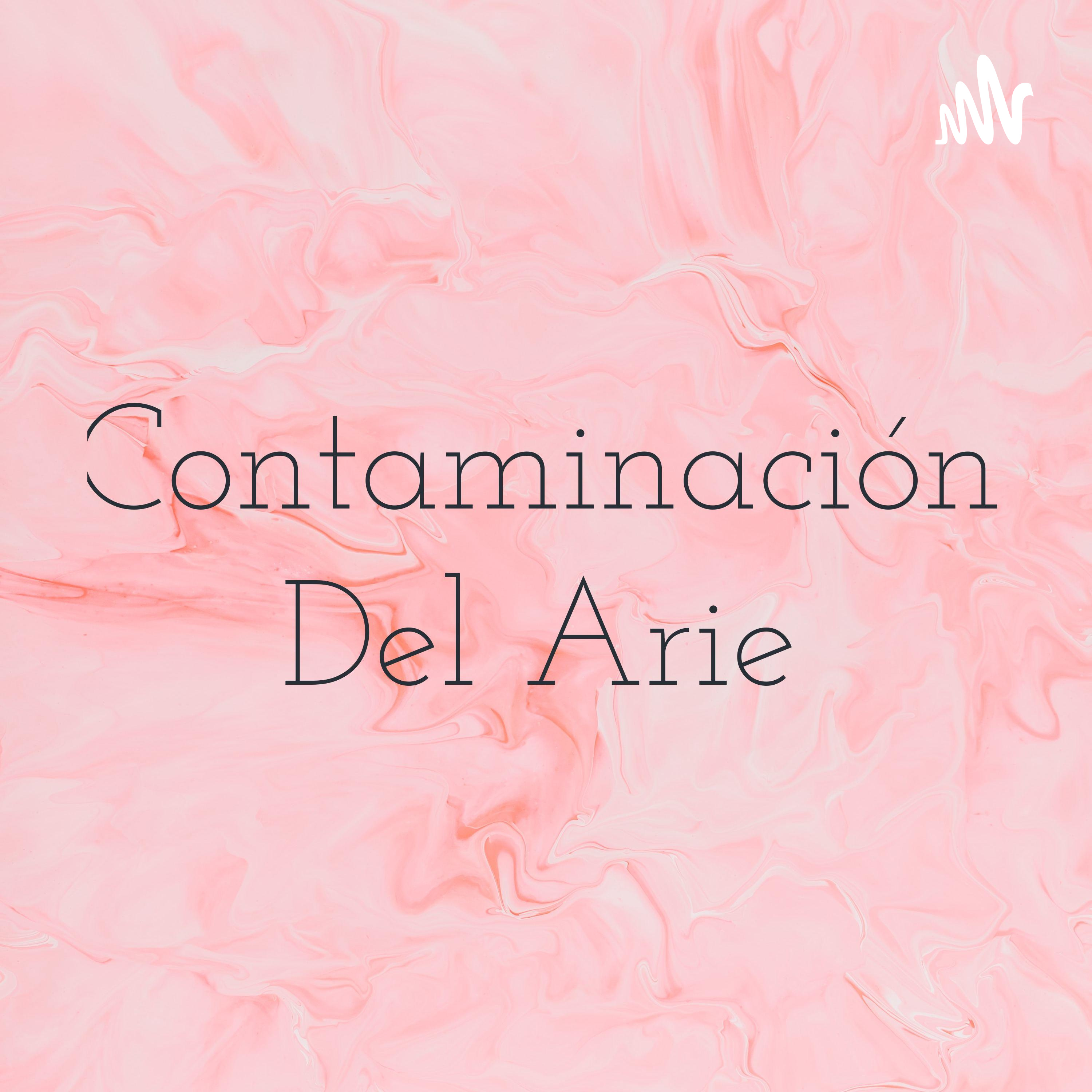 Contaminación Del Arie