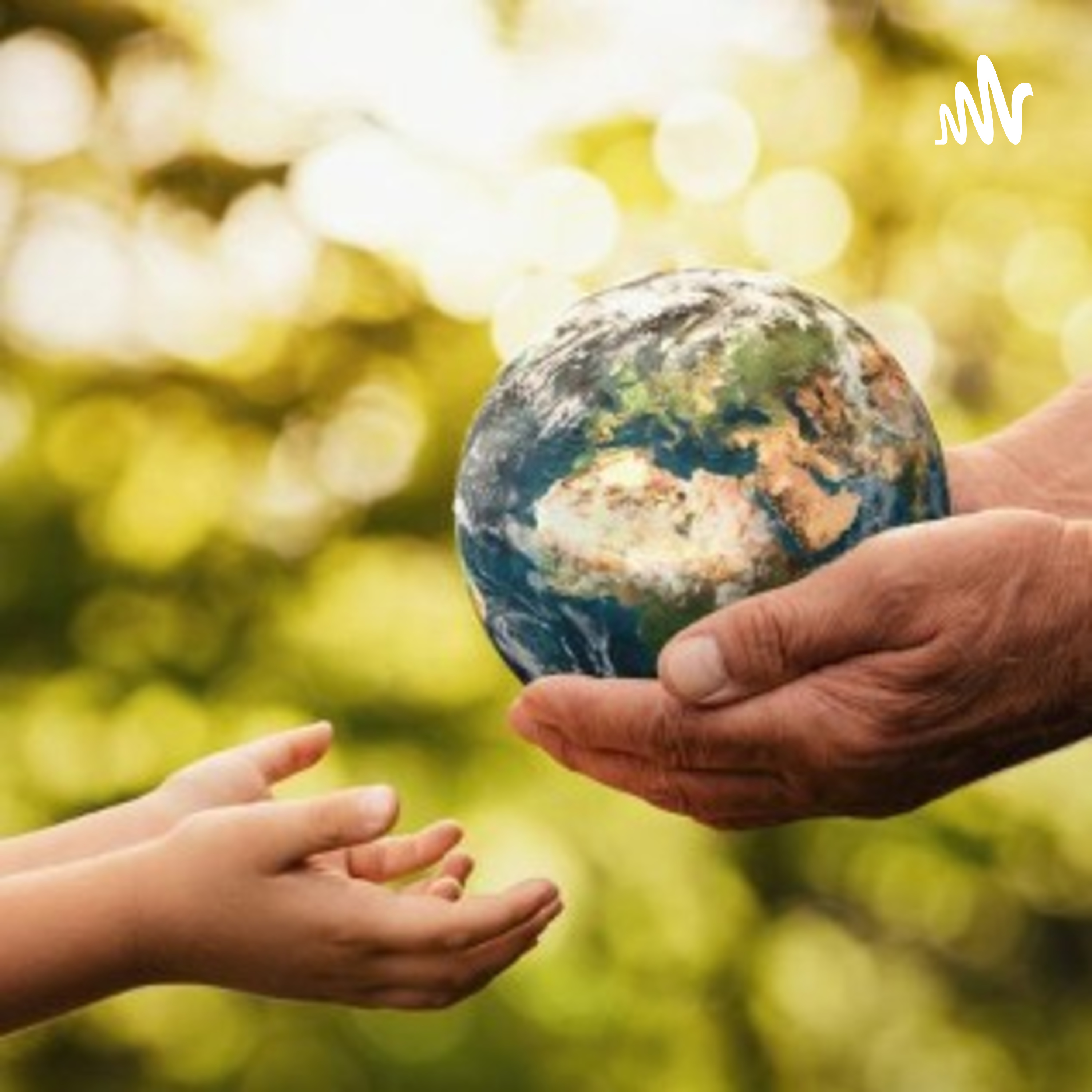 La Importancia De Cuidar El Medio Ambiente Y Sus Beneficios