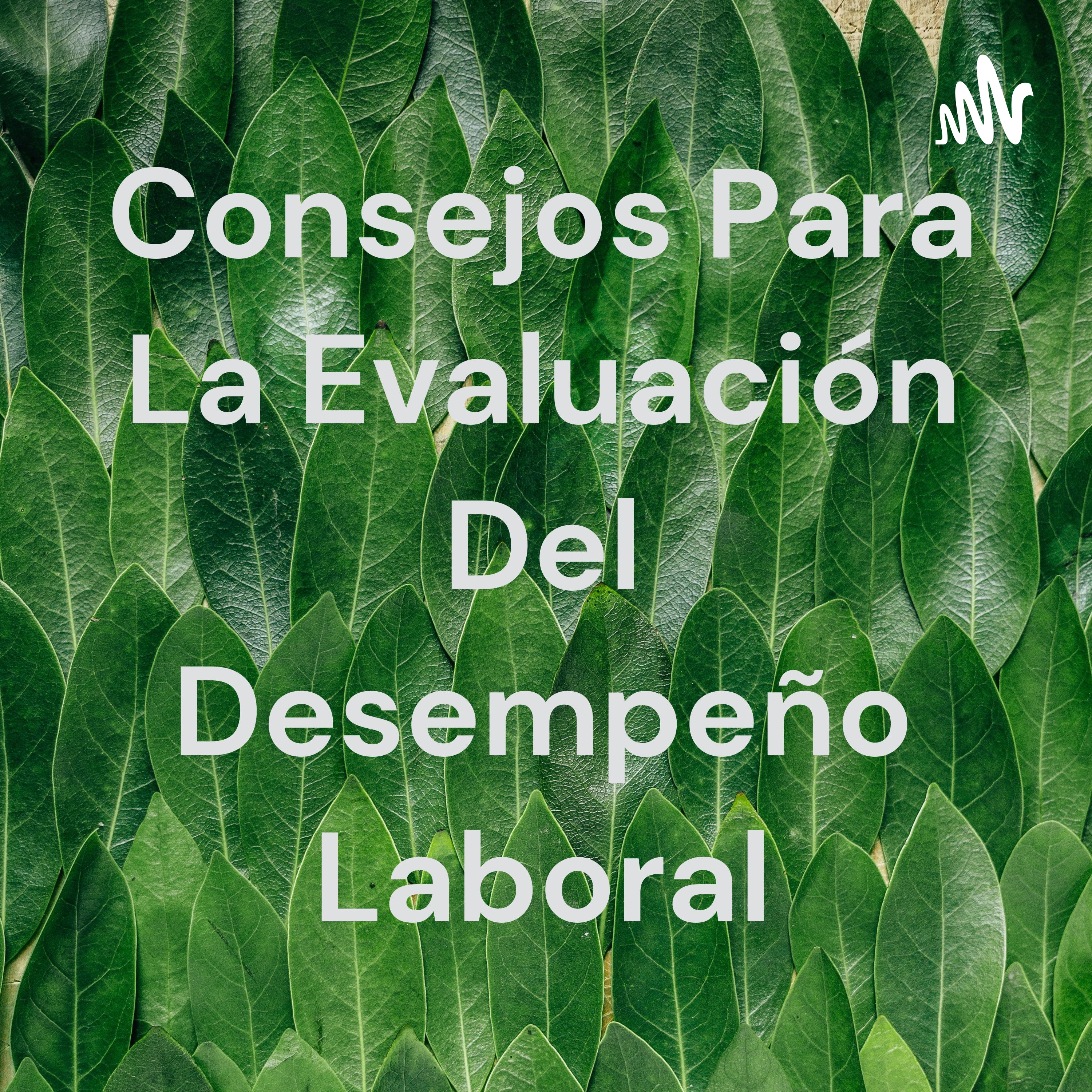 Consejos Para La Evaluación Del Desempeño Laboral
