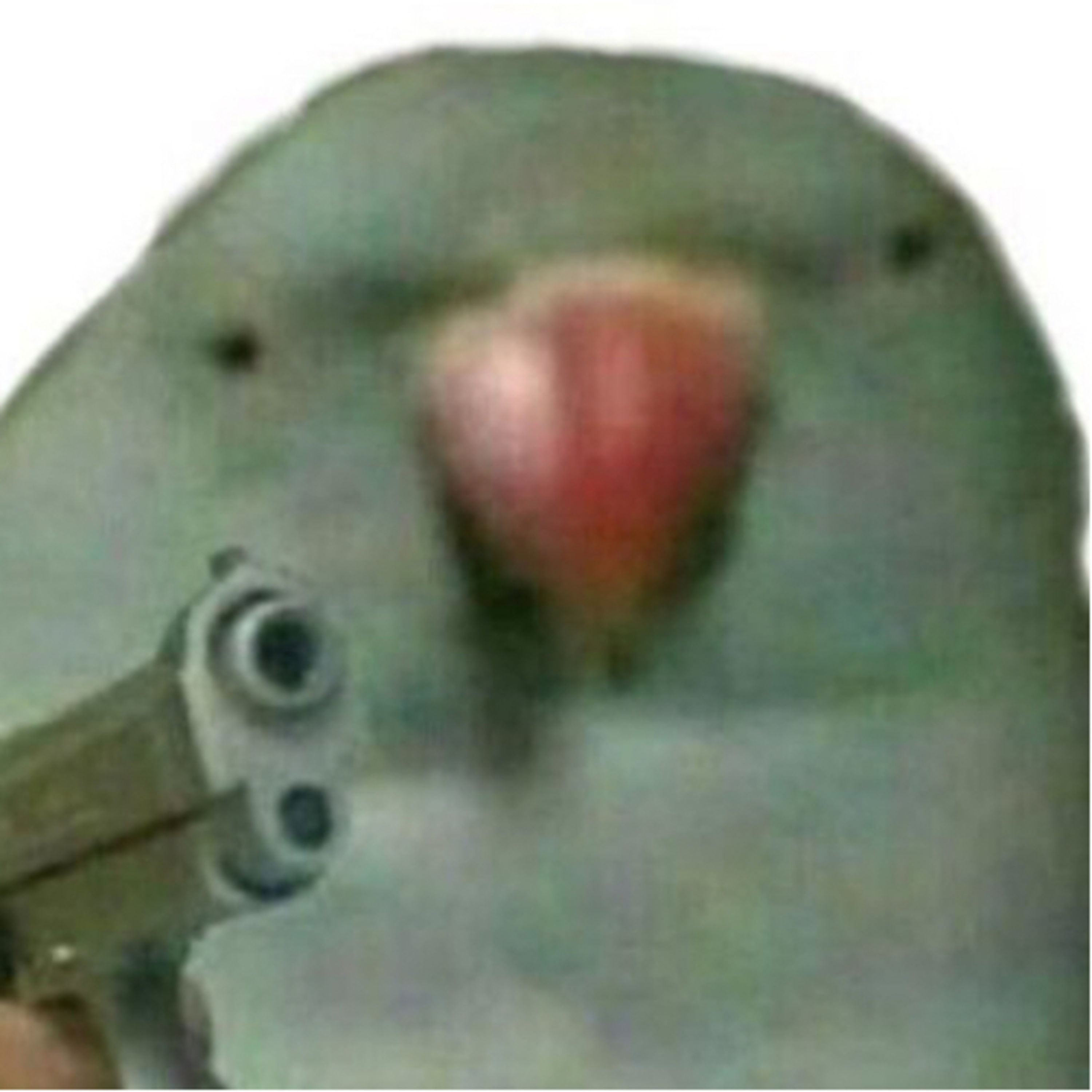 The Ramblings of a Dork