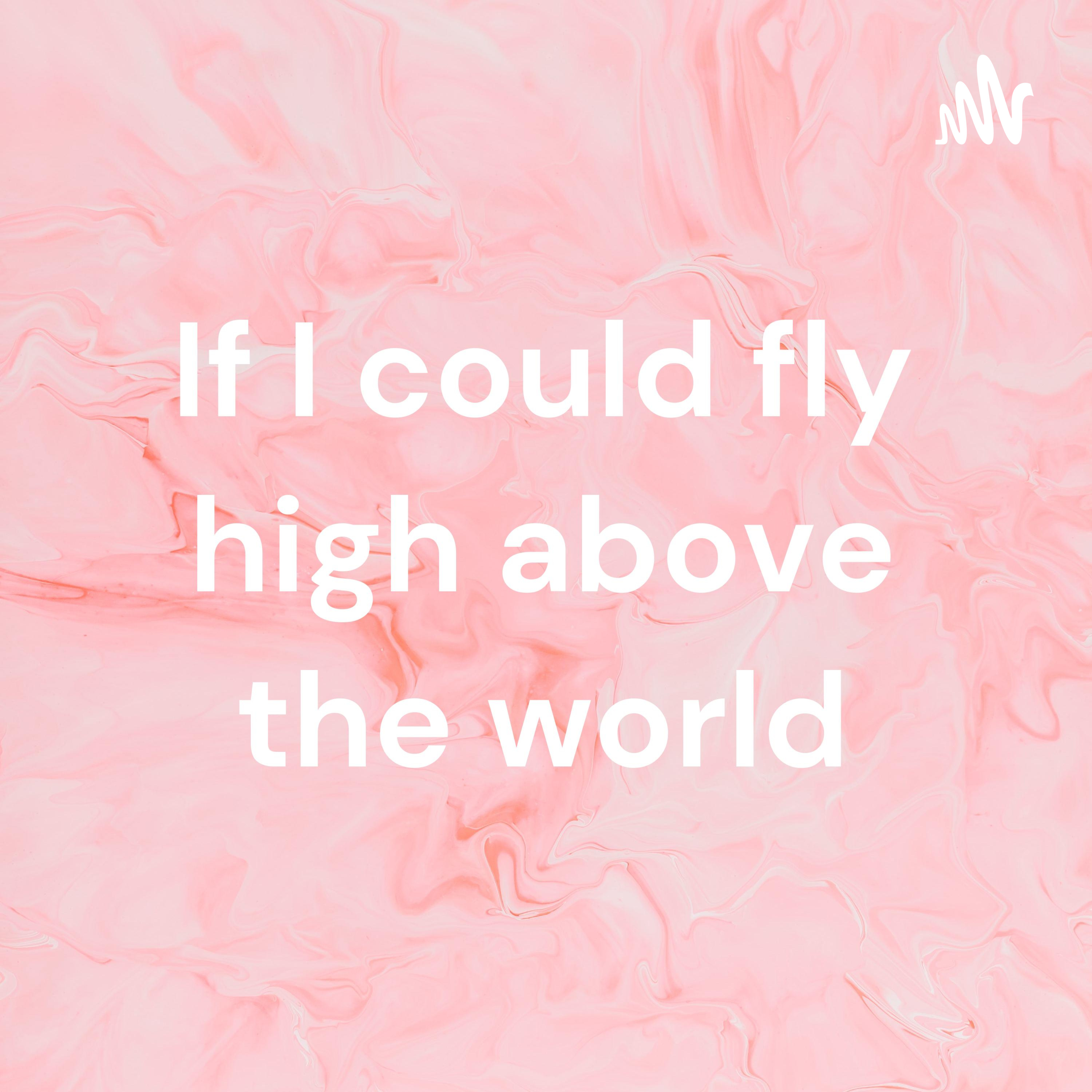 If I could fly high above the world