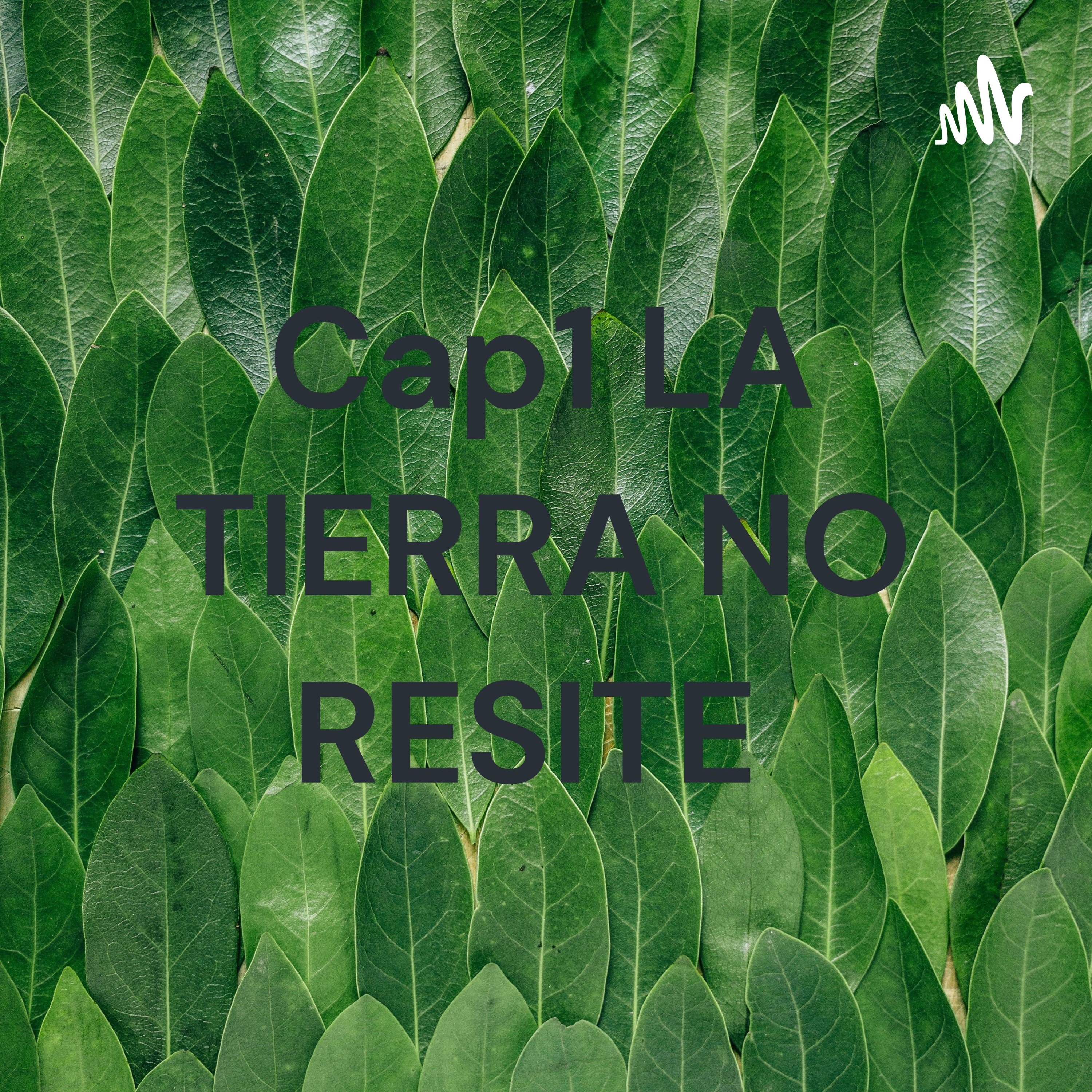 Cap1 LA TIERRA NO RESITE