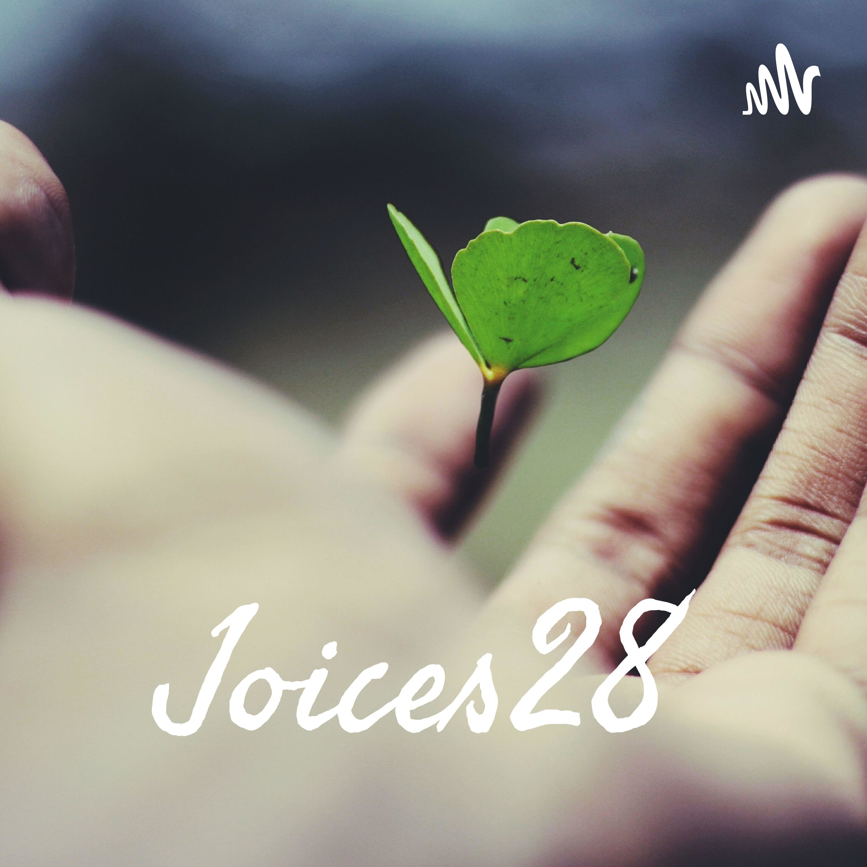 Joices Podcast Diary