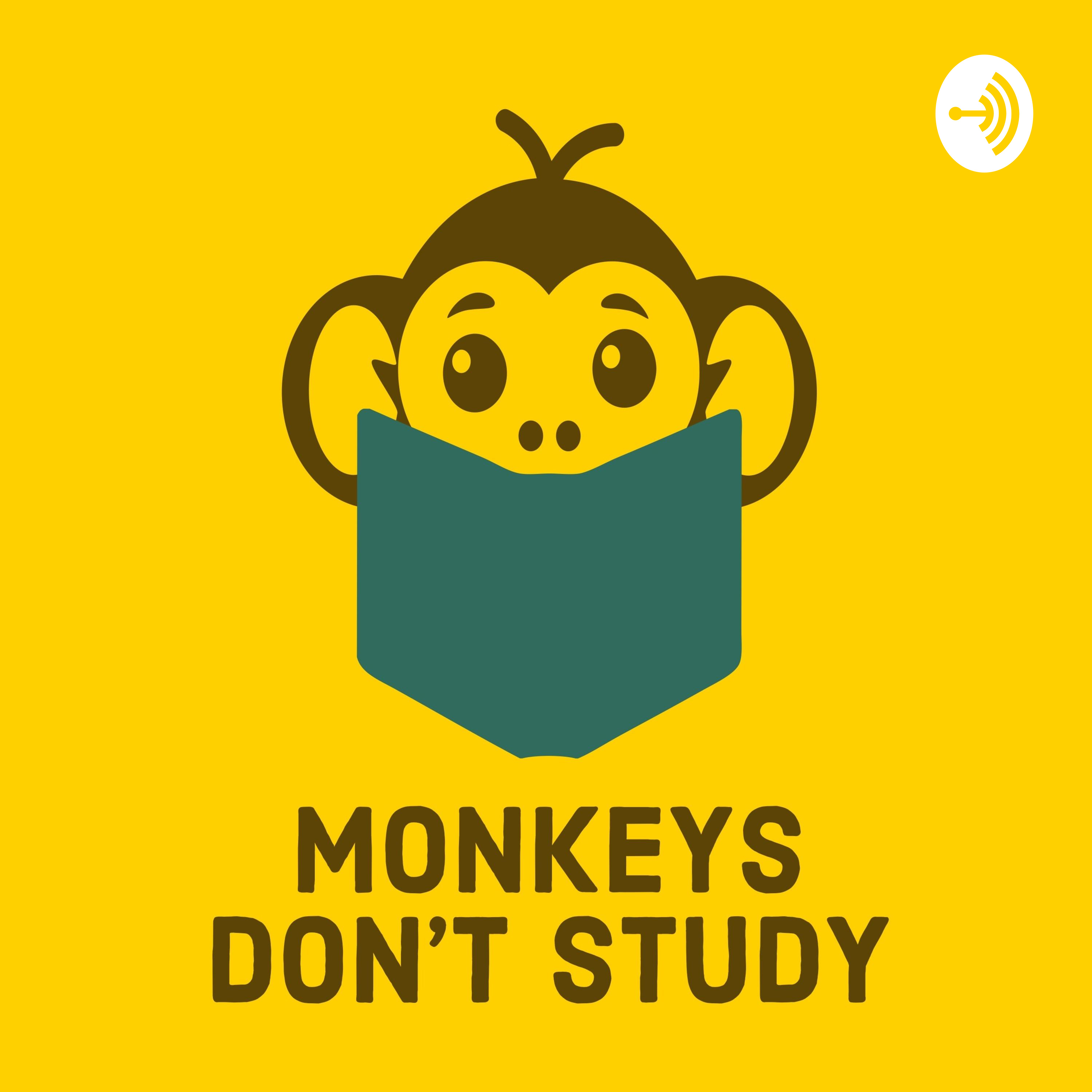 Monkeys Don't Study
