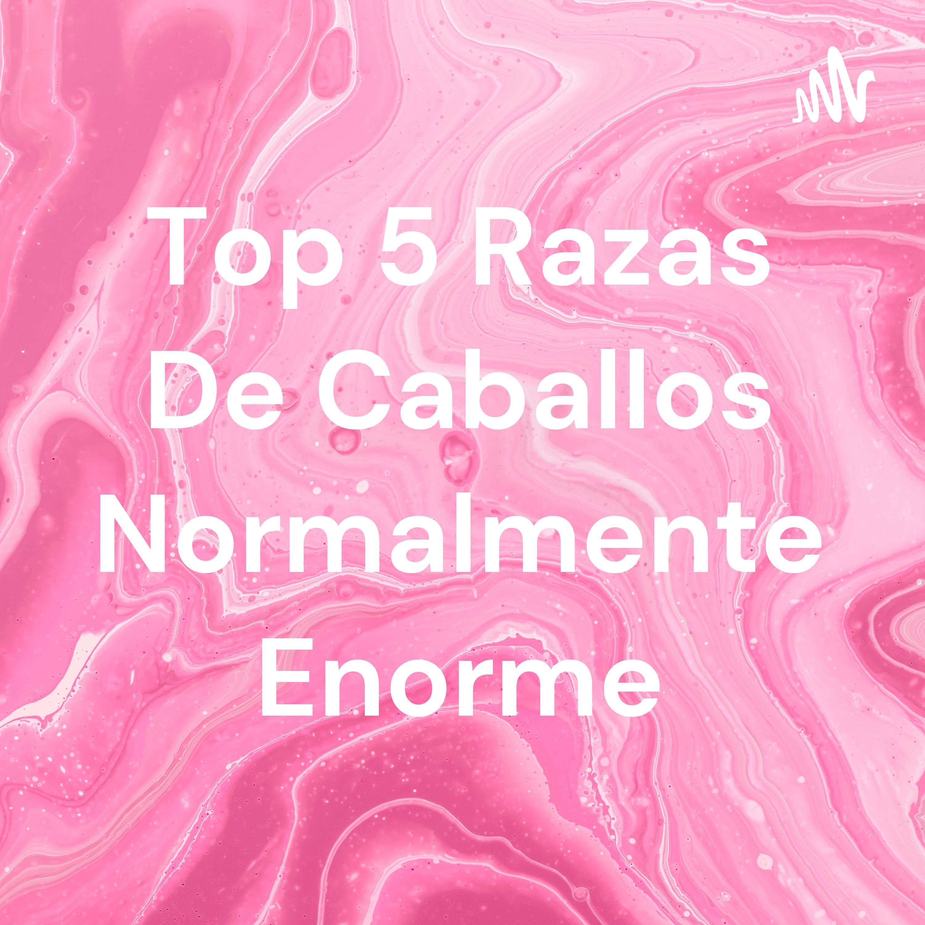 Top 5 Razas De Caballos Normalmente Enorme