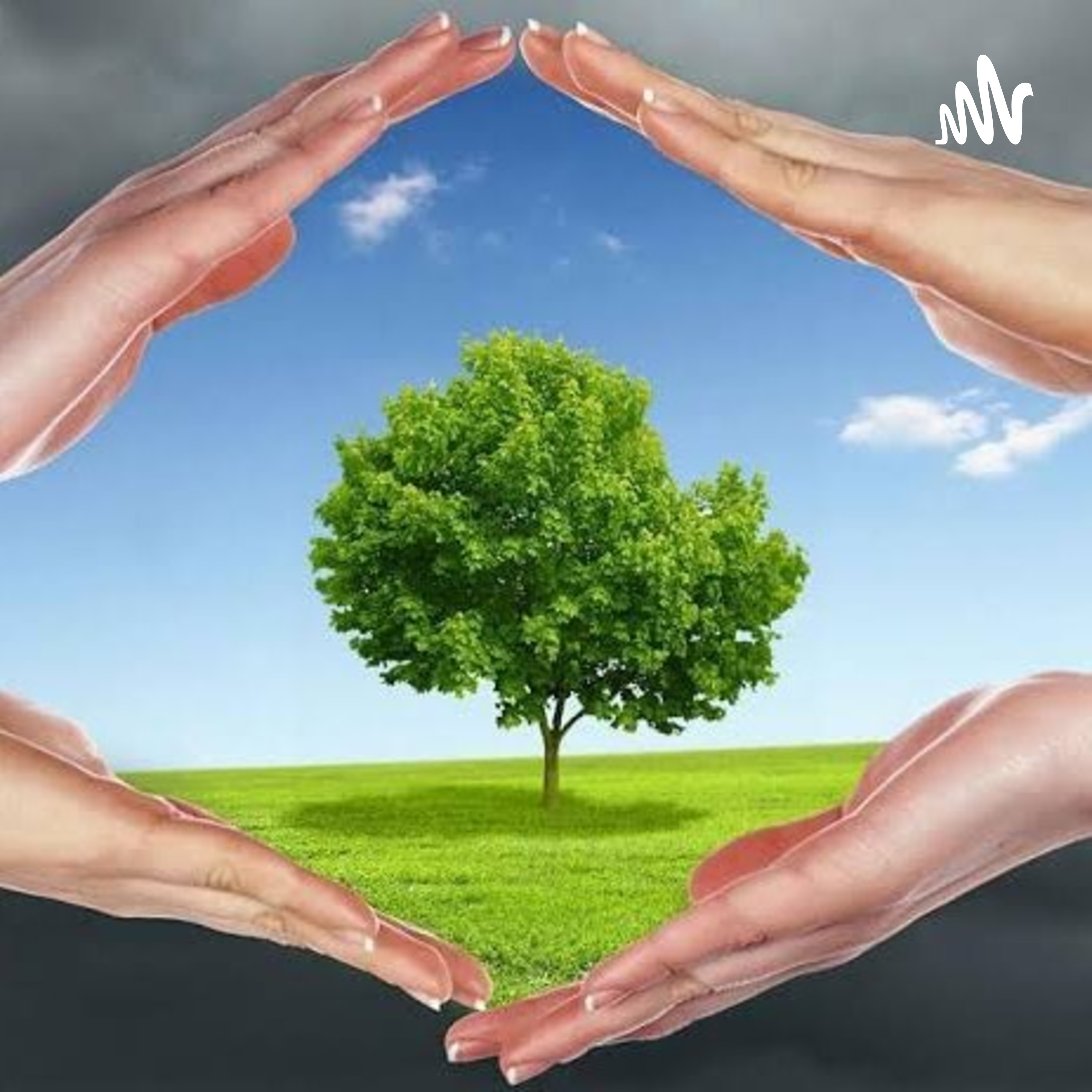 ¿COMO CUIDAR EL AIRE?