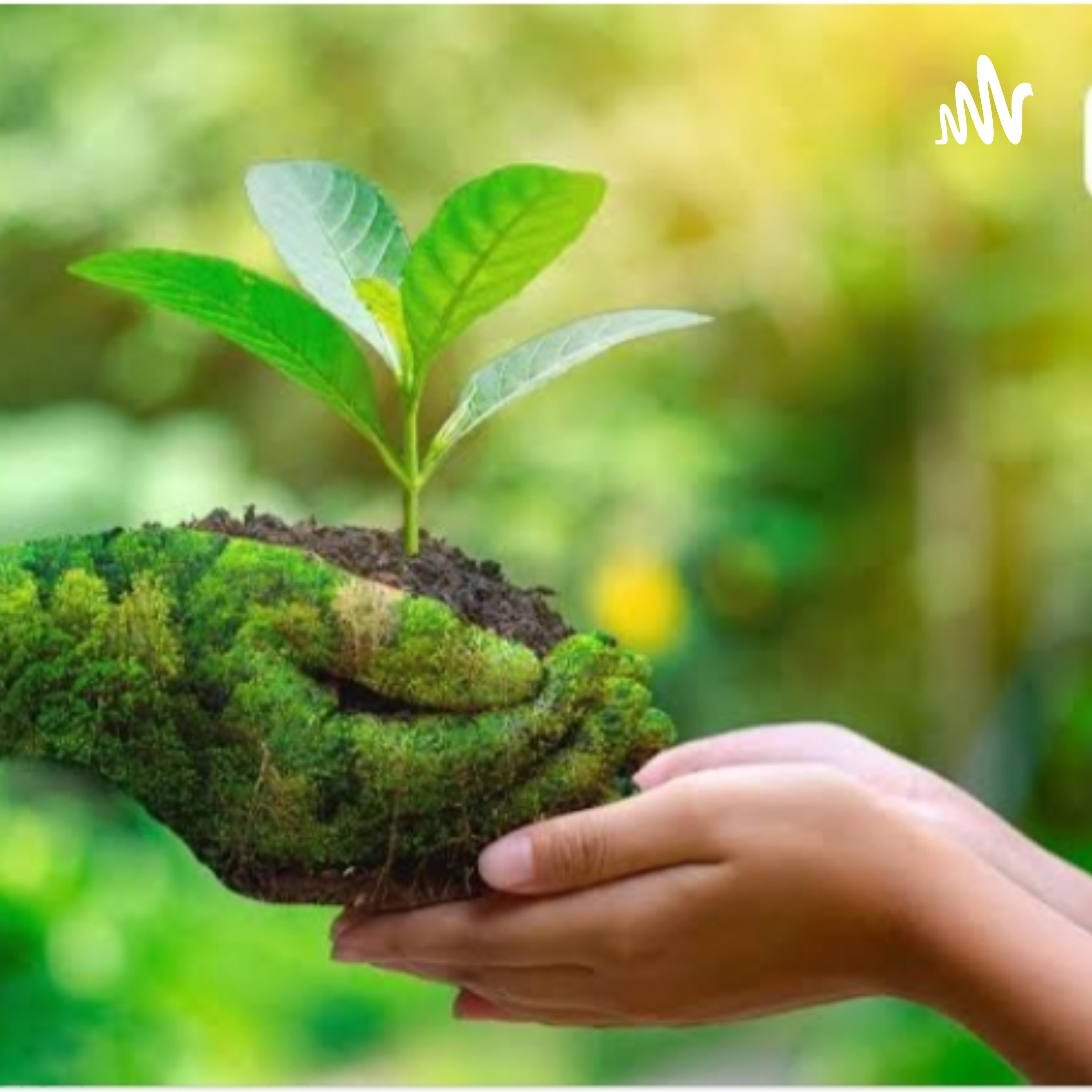 Aira keyly Álamo damian