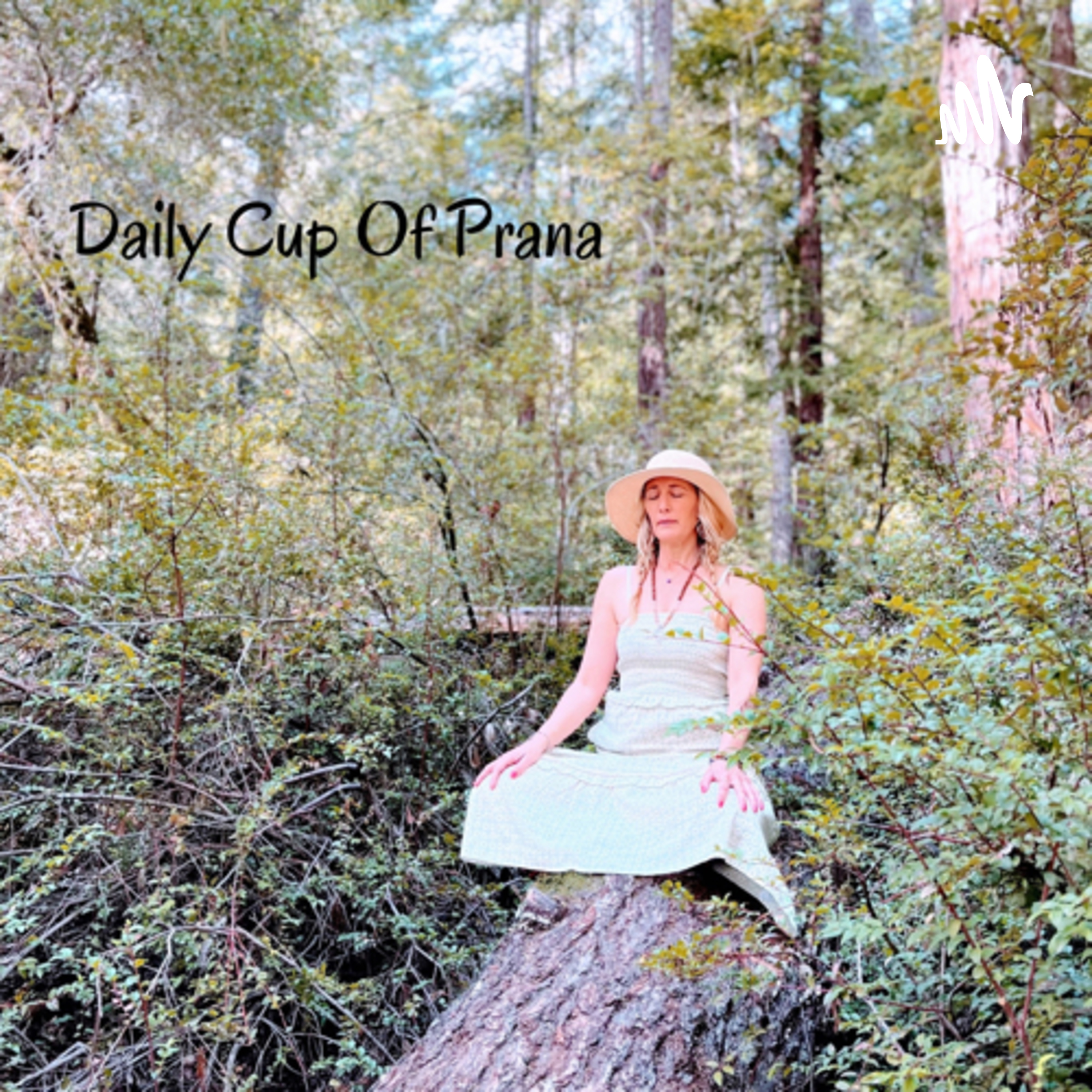 “Your Daily Nature” Guided Meditations and Inspiration.