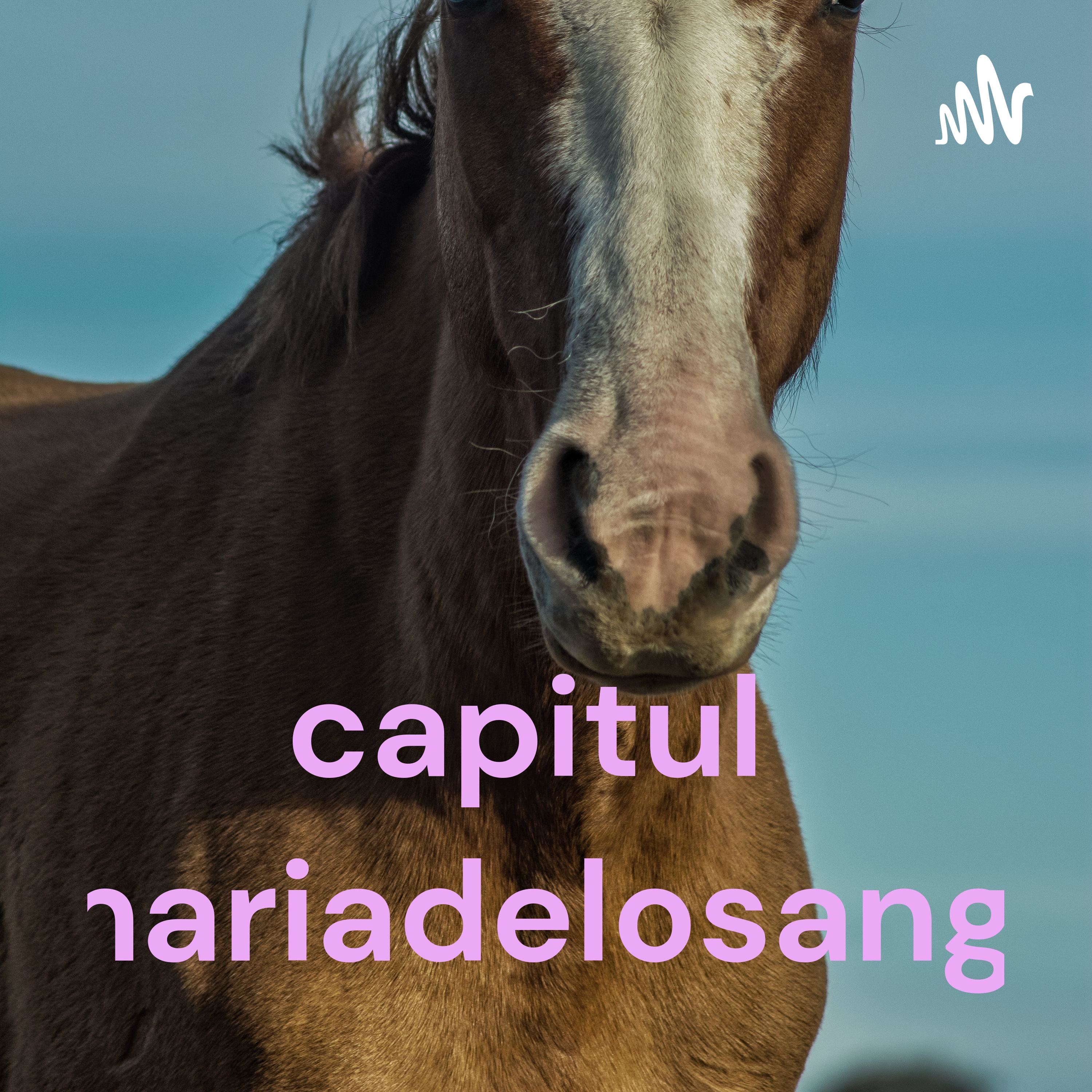 capitulo19mariadelosangeles