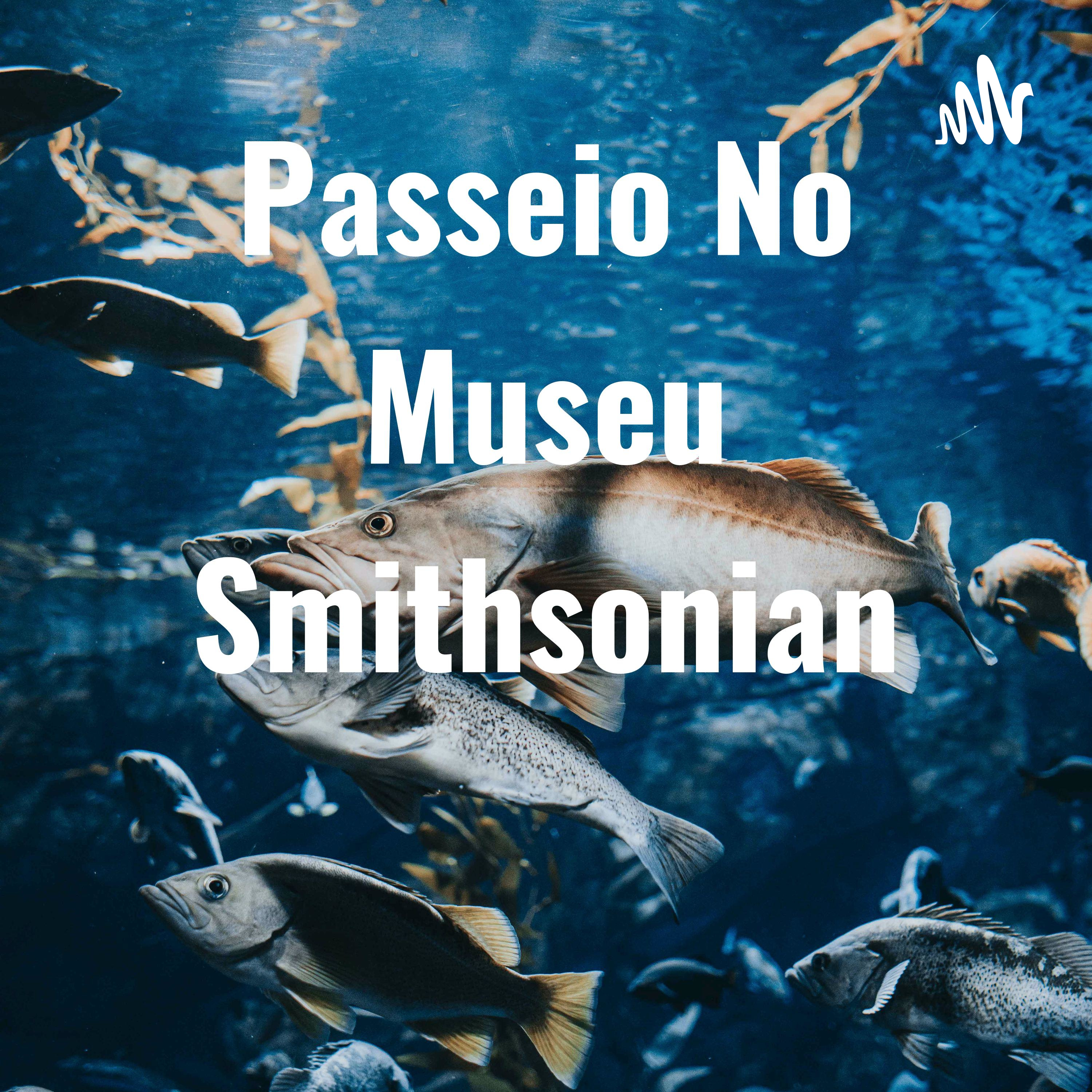 Passeio No Museu Smithsonian