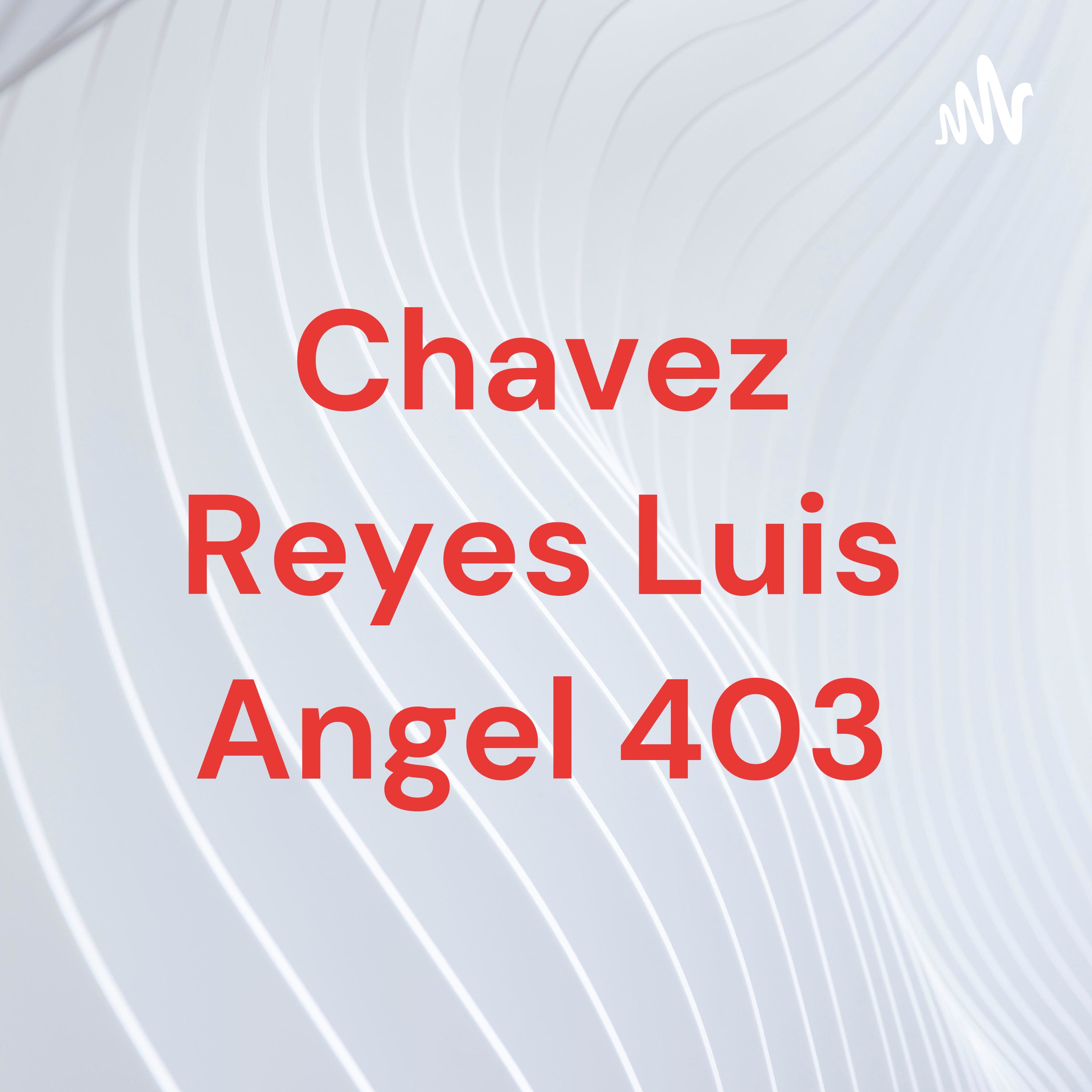 Chavez Reyes Luis Angel 403