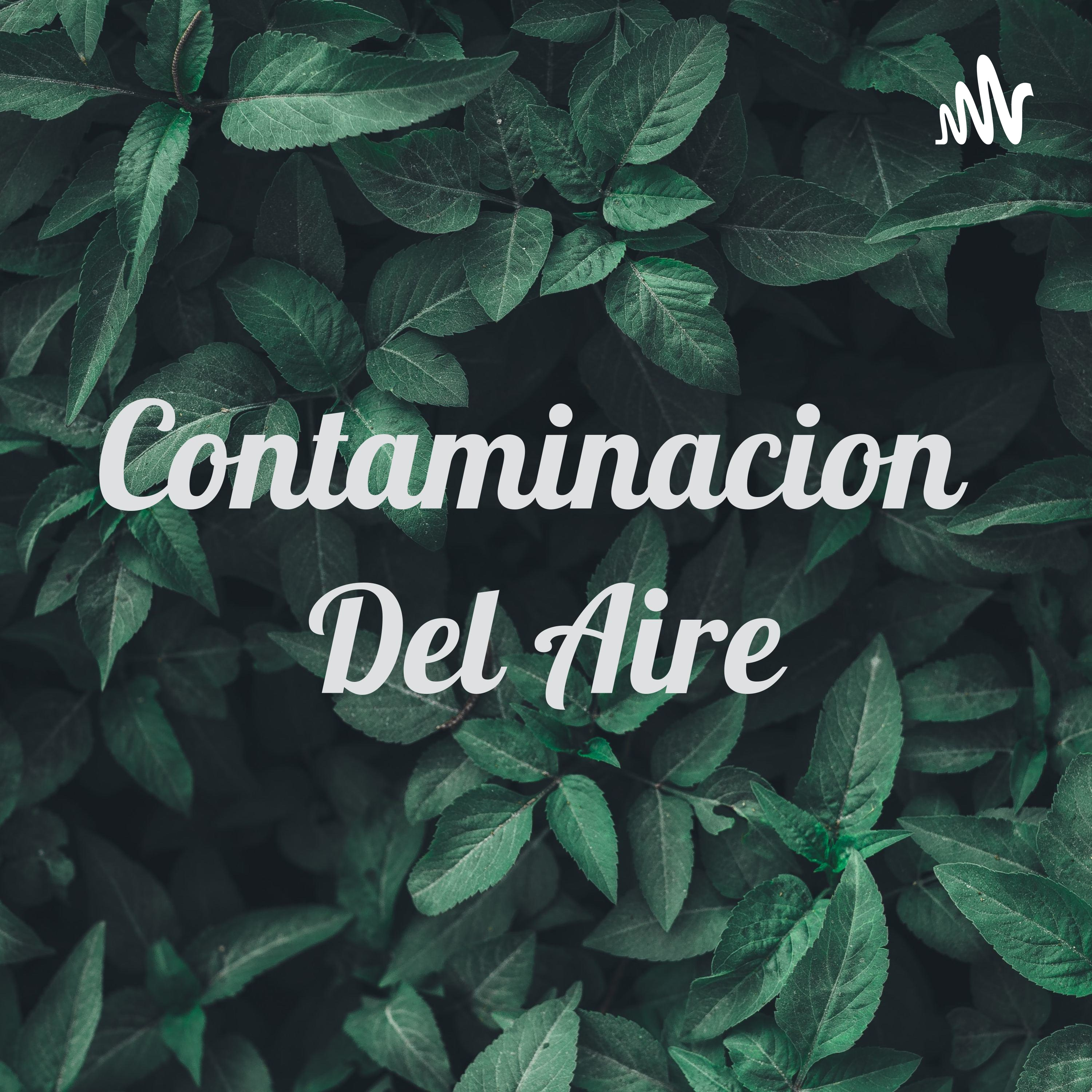 Contaminacion Del Aire