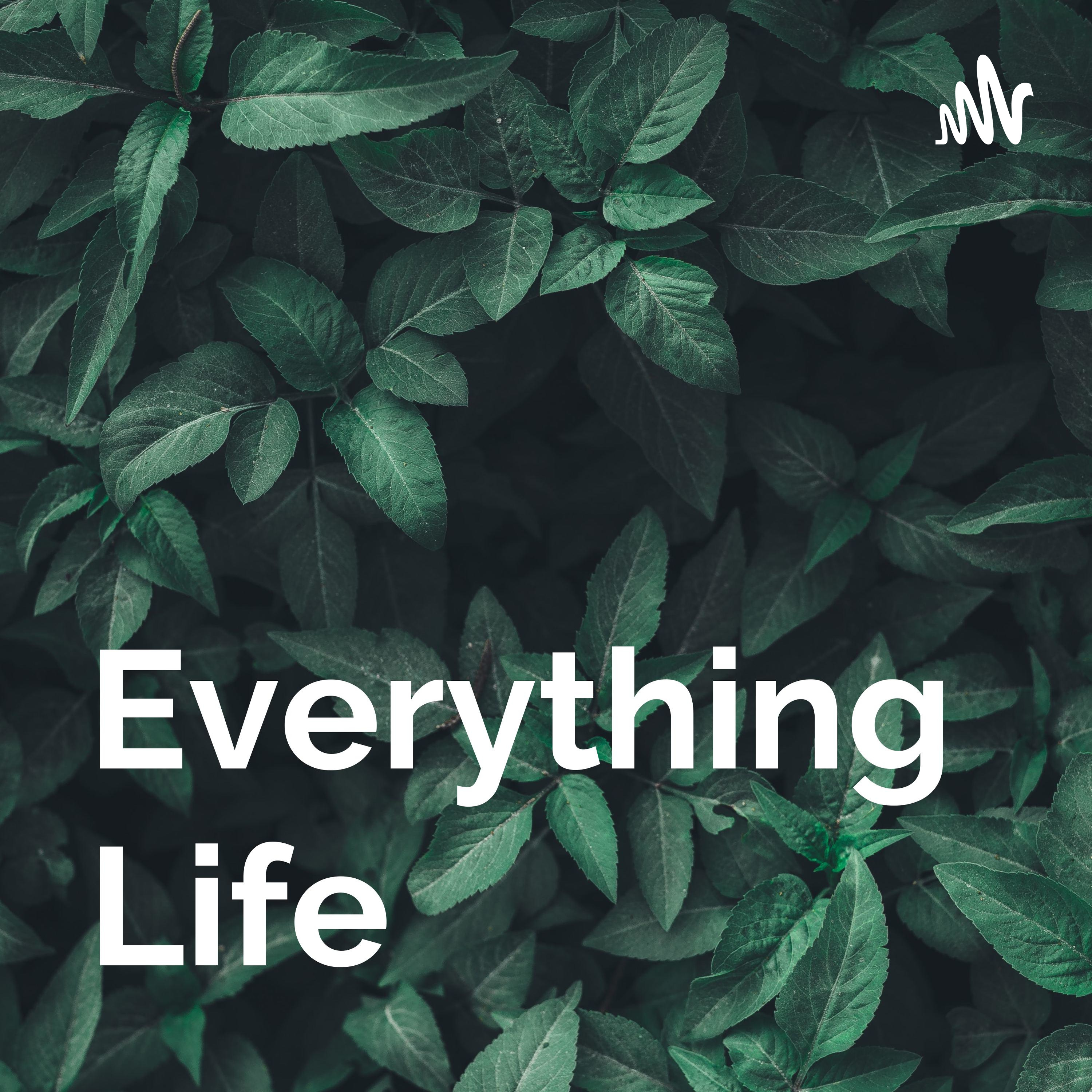 Everything Life
