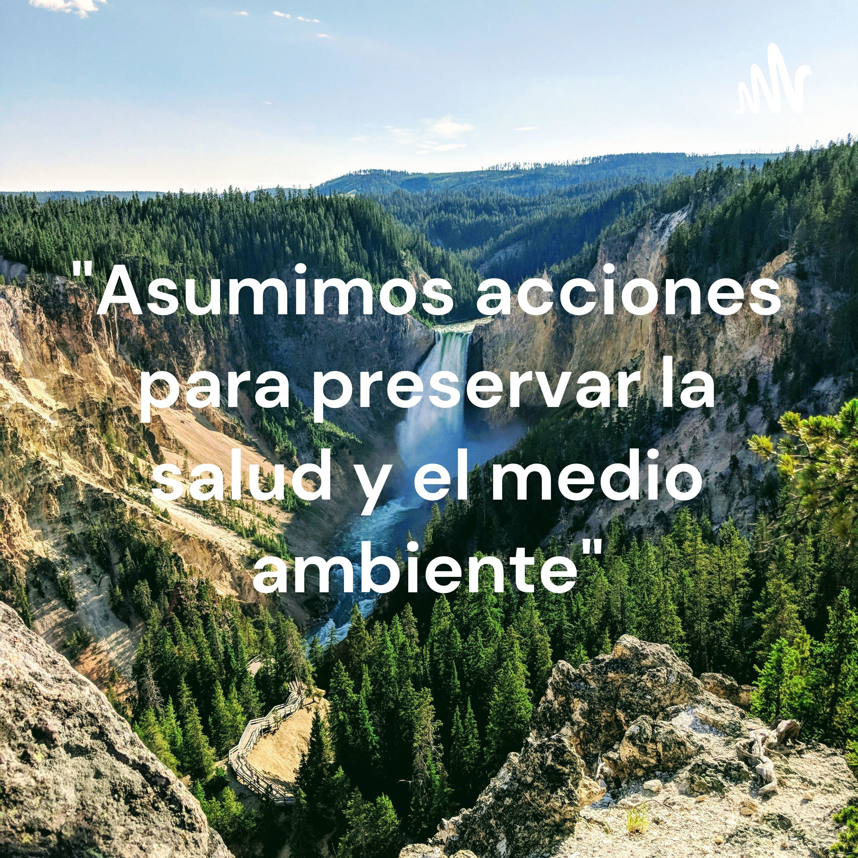"Asumimos acciones para preservar la salud y el medio ambiente"