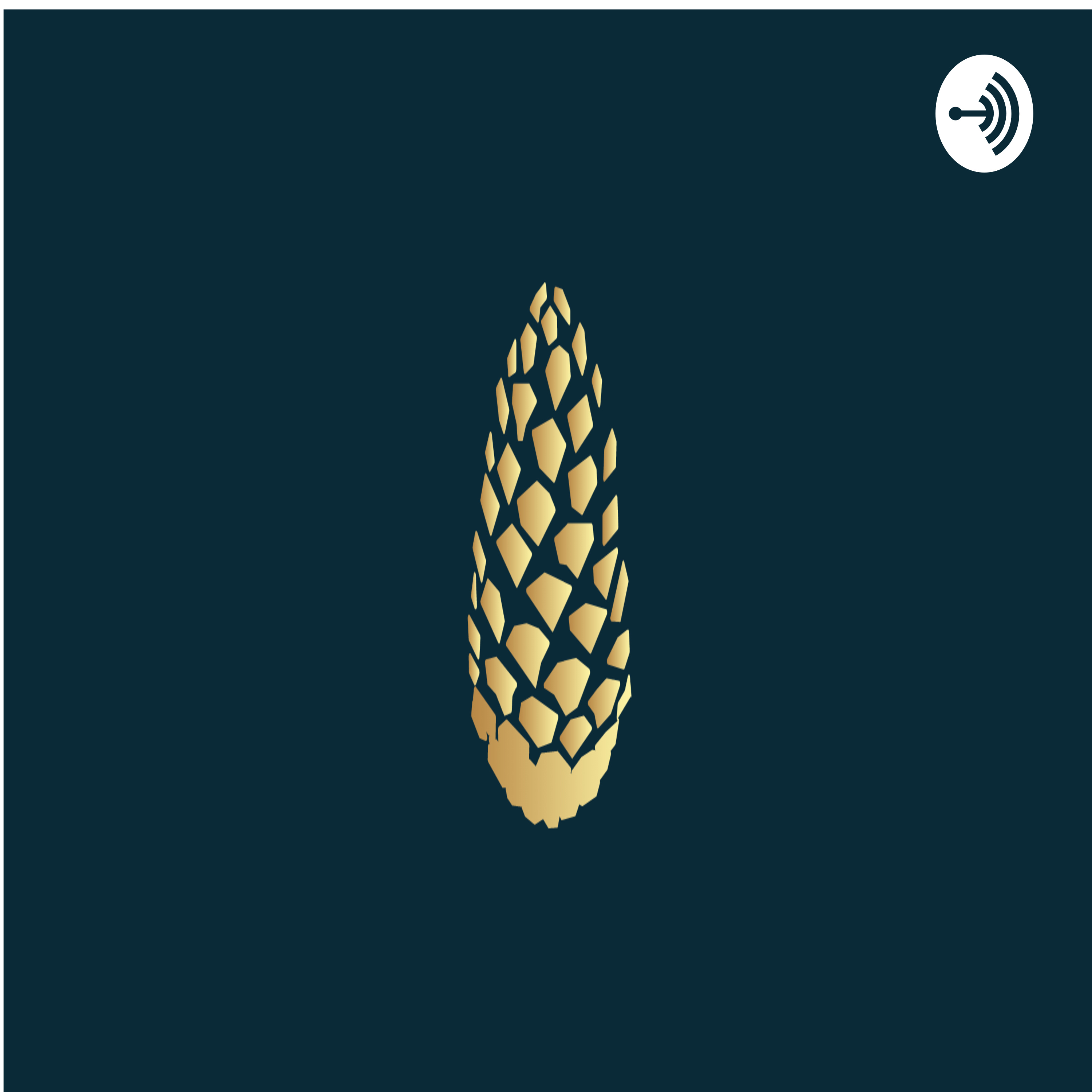 Le Va'a ou pirogue tahitienne 🤙