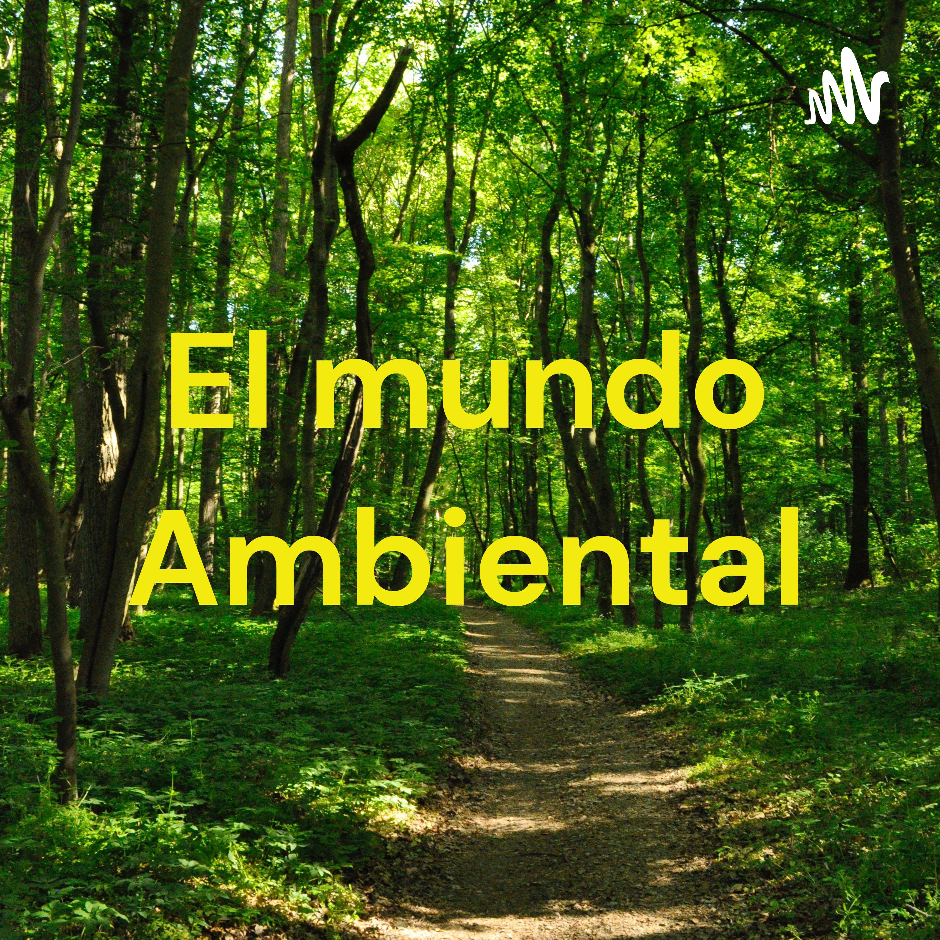 El mundo Ambiental