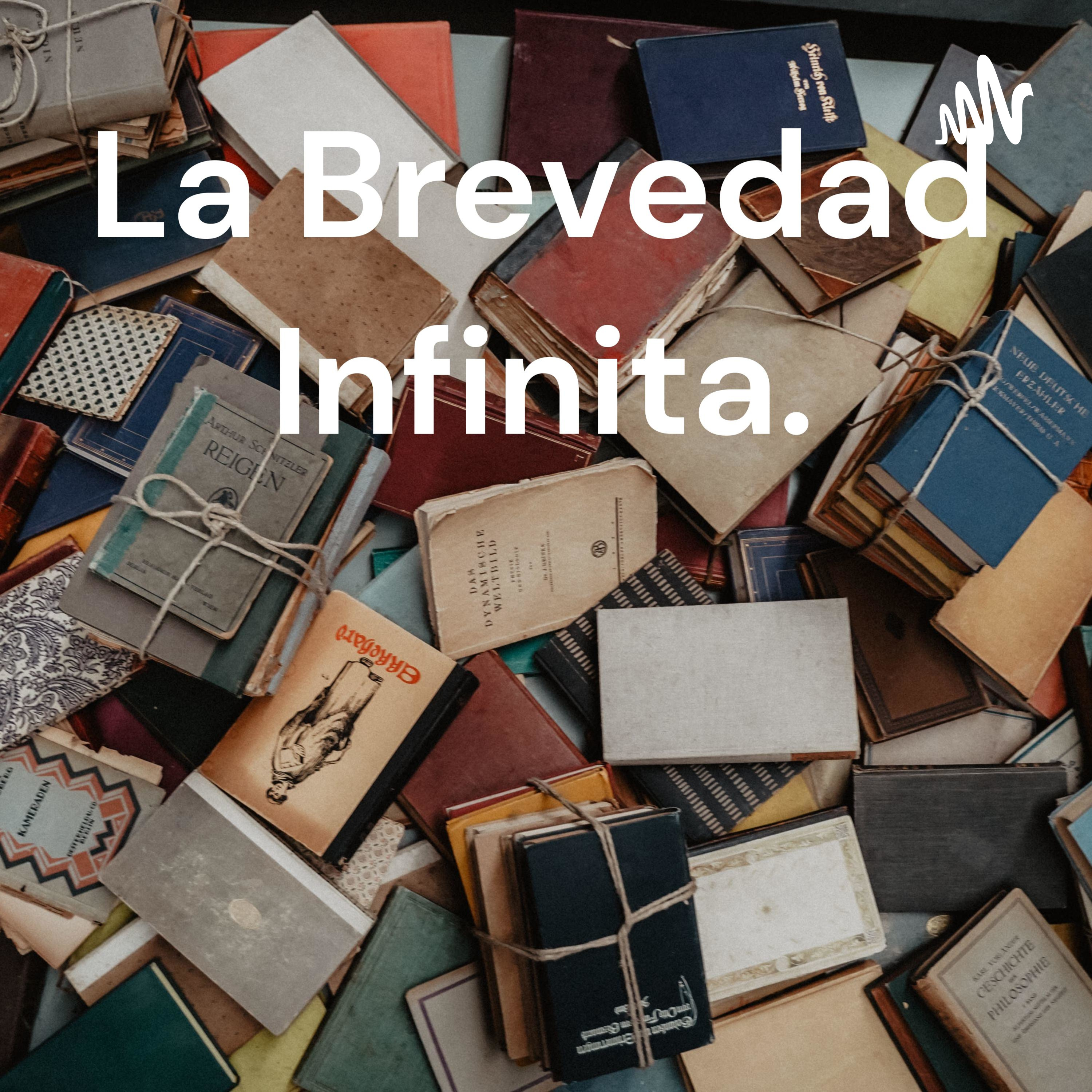 La Brevedad Infinita.
