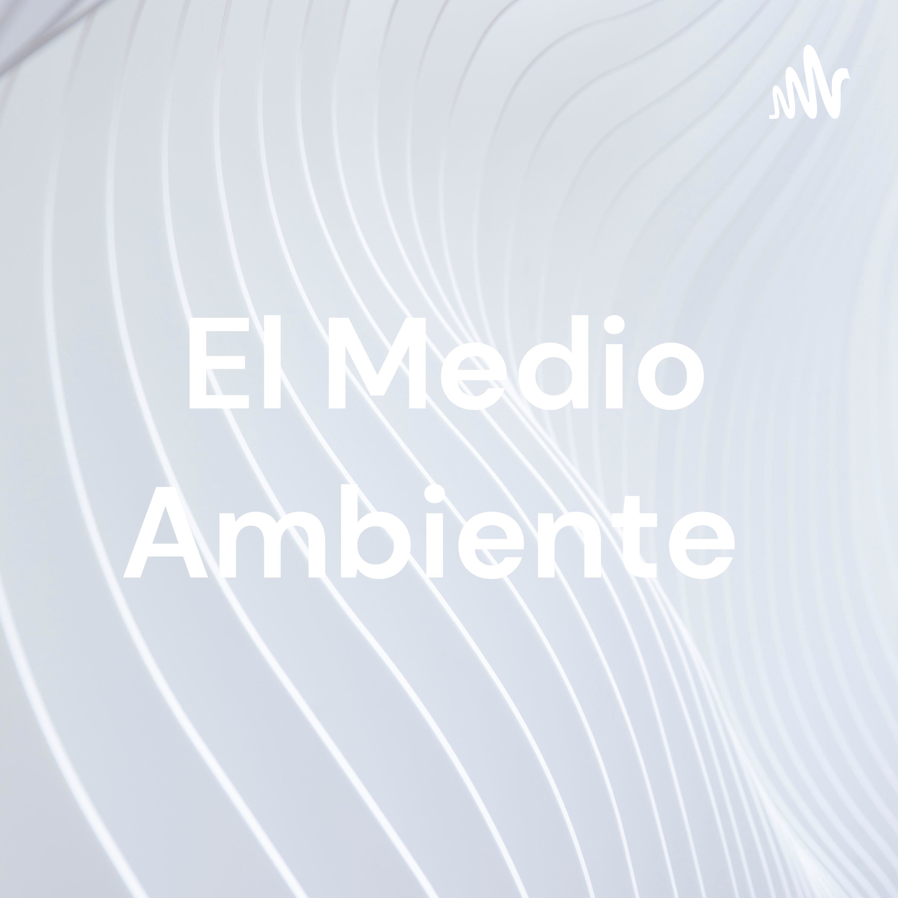 El Medio Ambiente