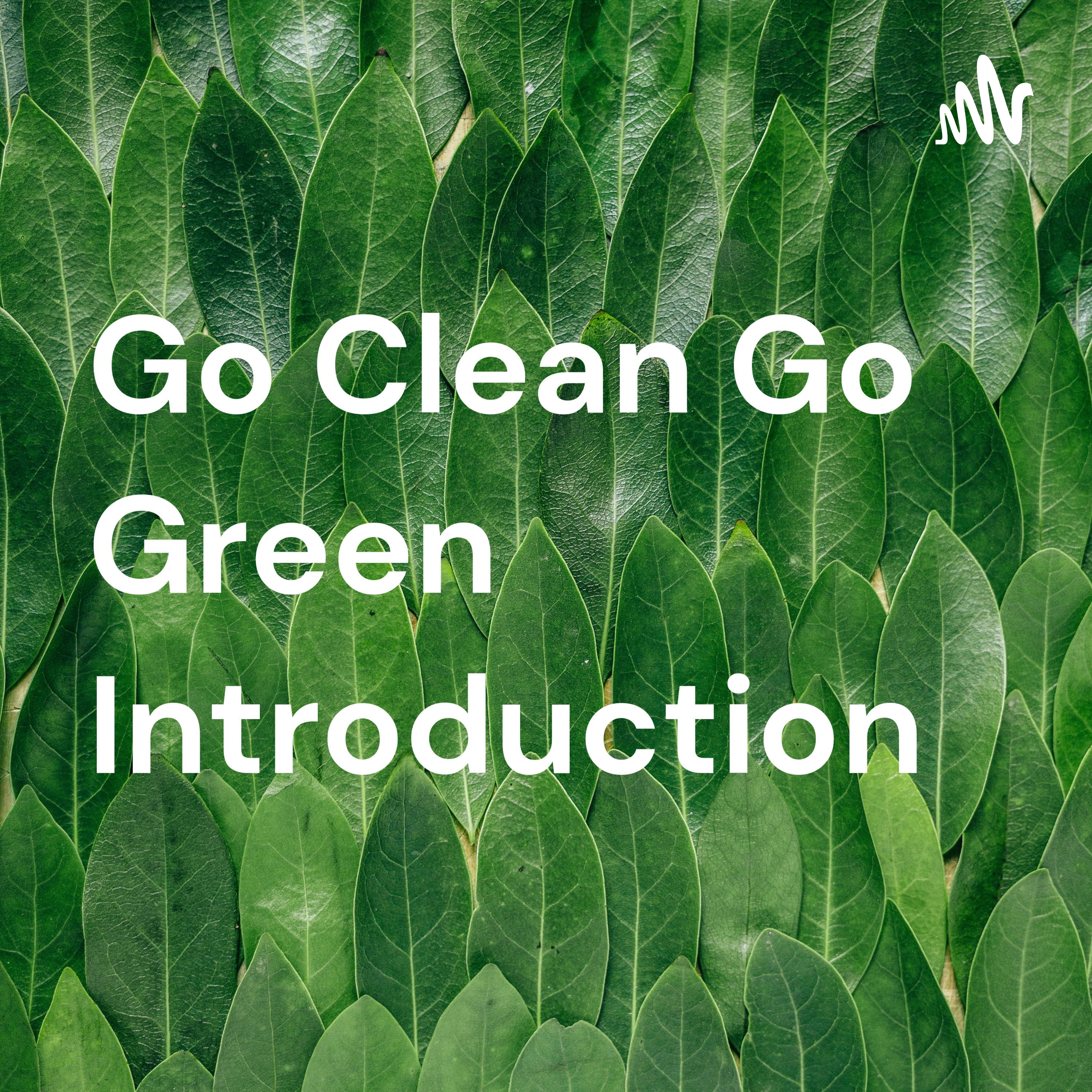 Go Clean Go Green Introduction