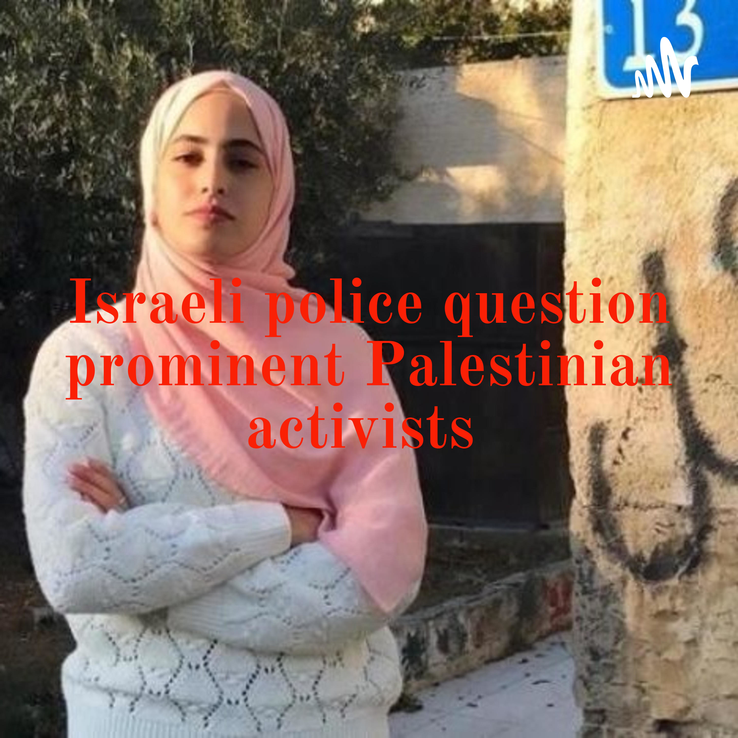 Israeli police question prominent Palestinian activists 