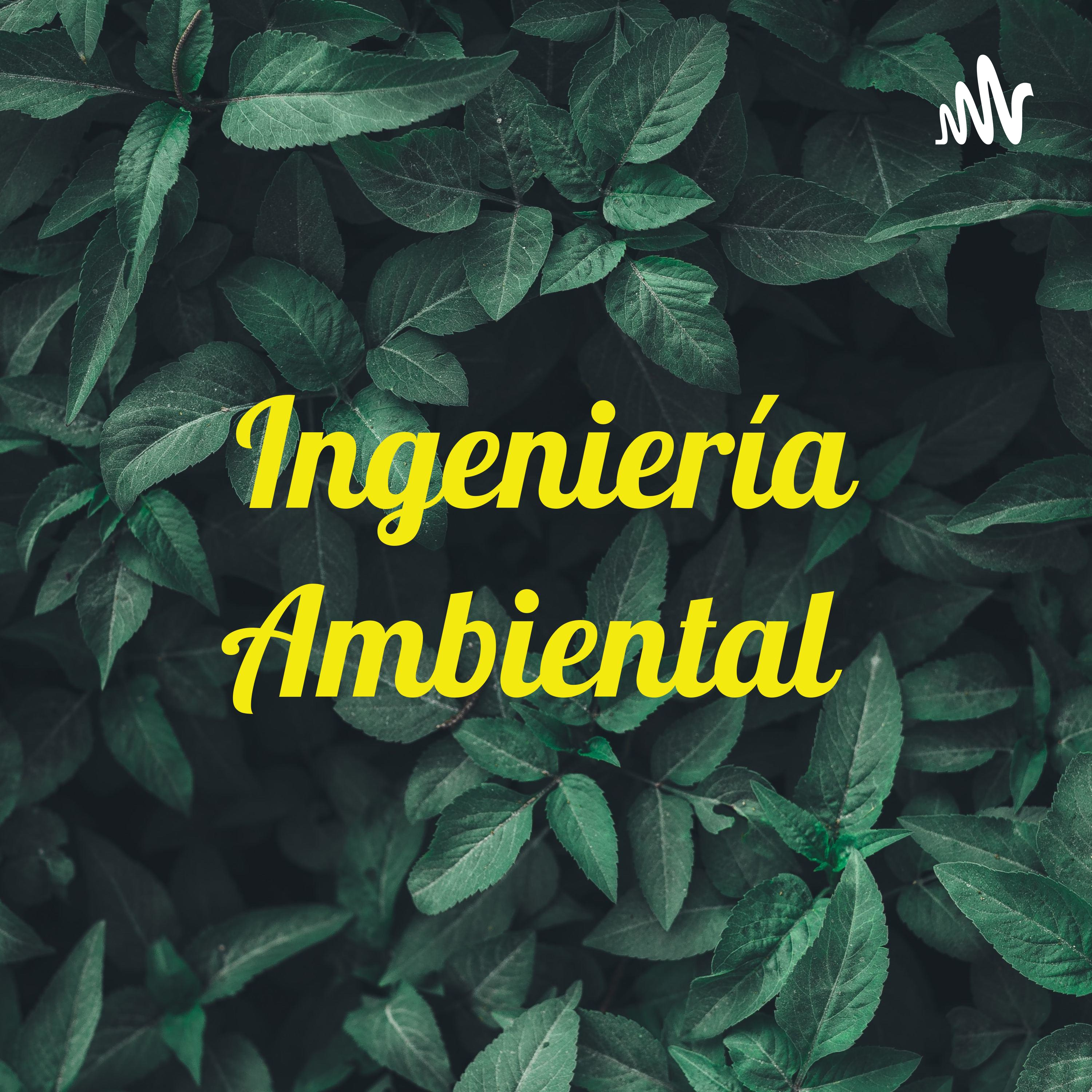 Ingeniería Ambiental