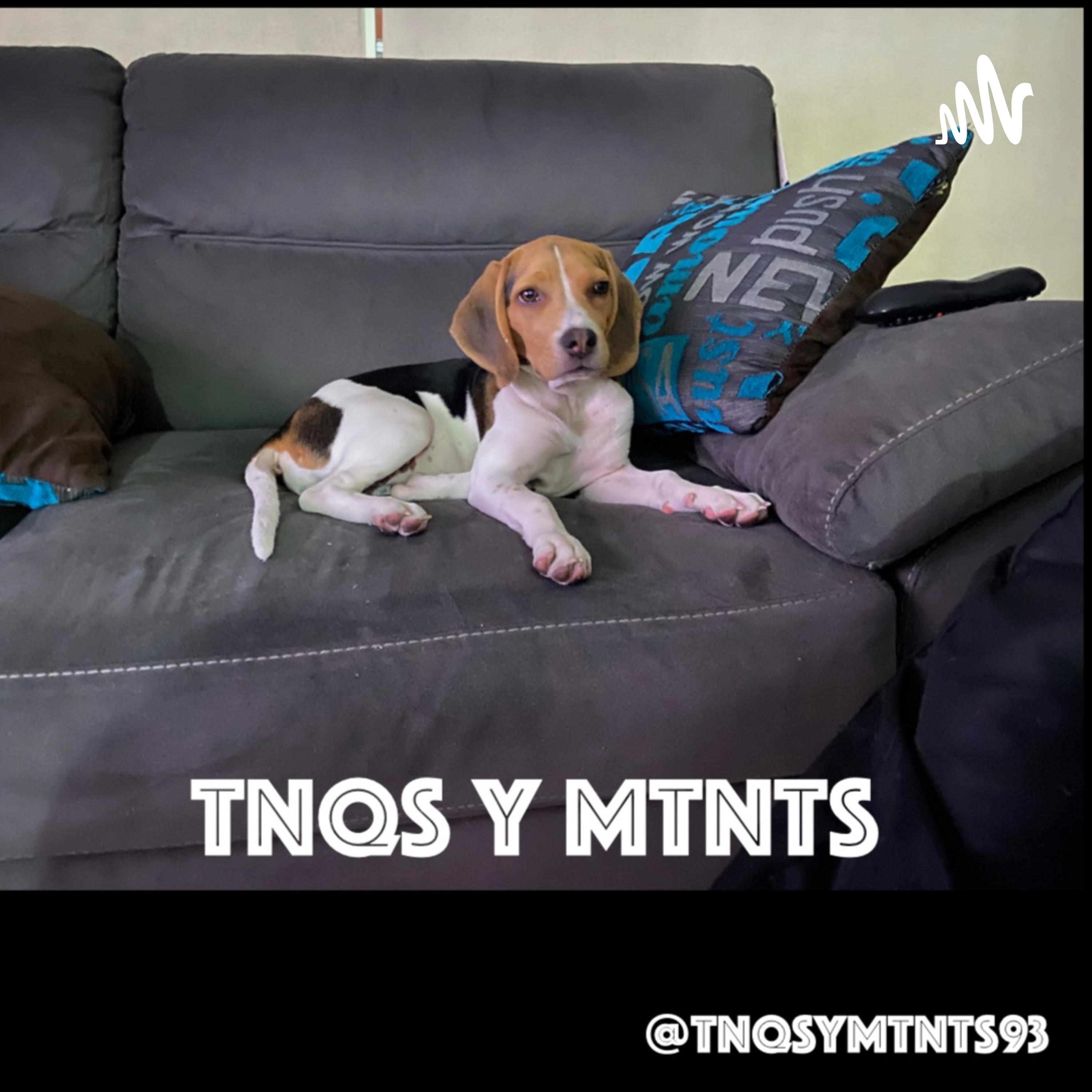 TNQS Y MTNTS