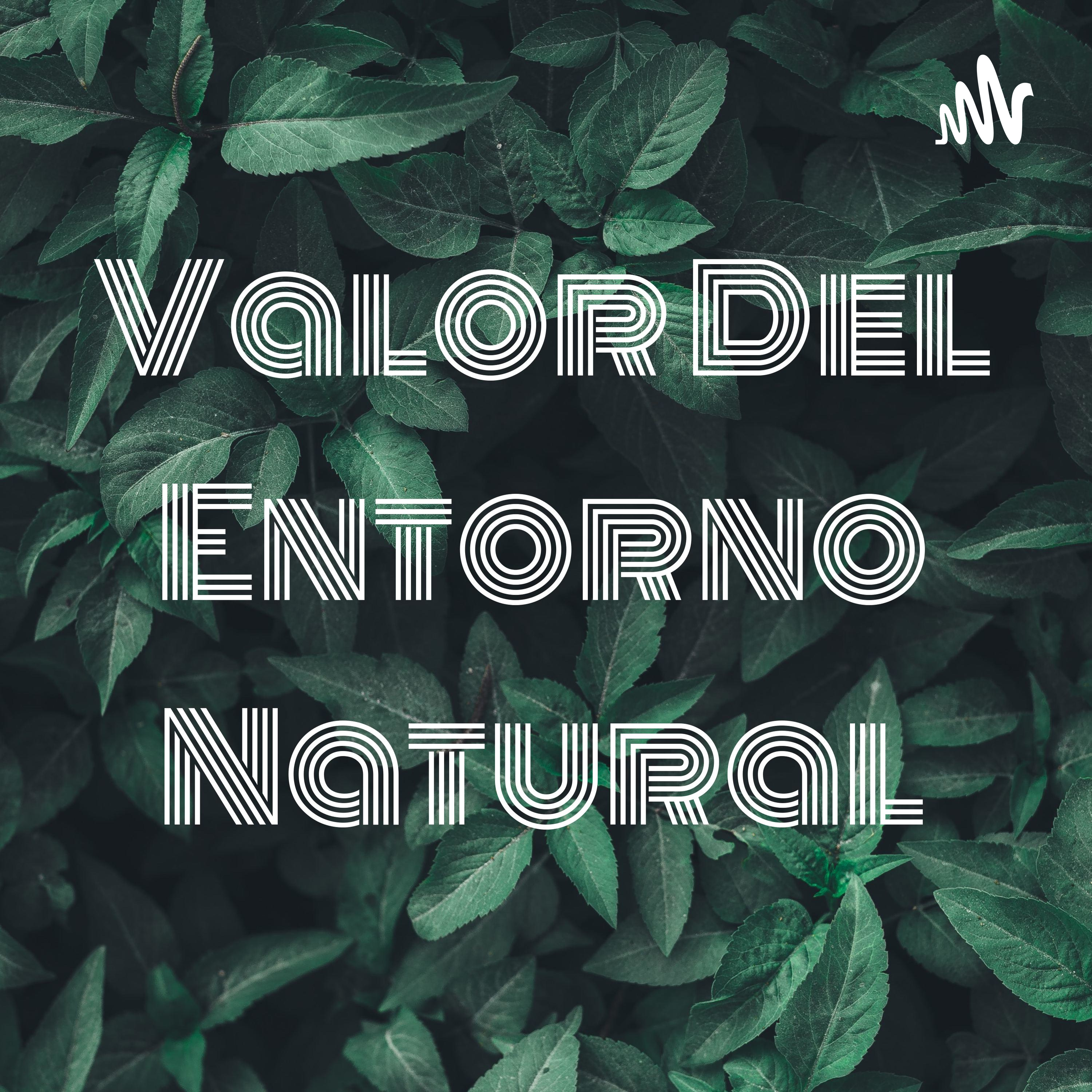 Valor Del Entorno Natural