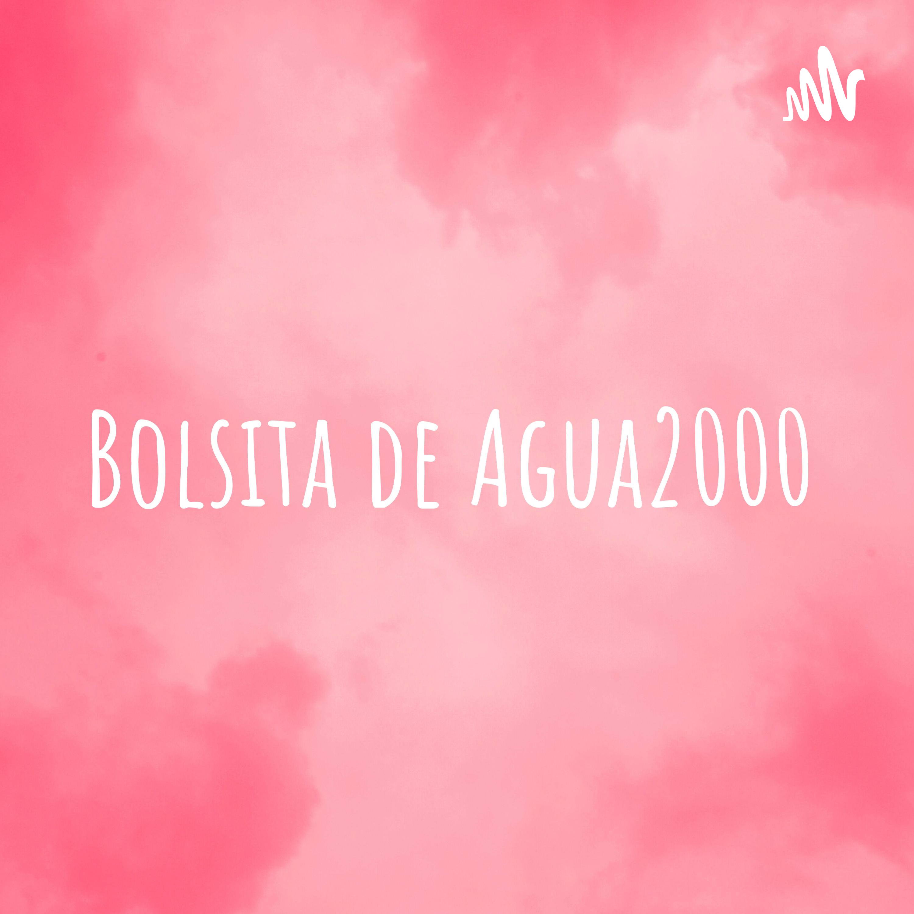 Bolsita de Agua2000