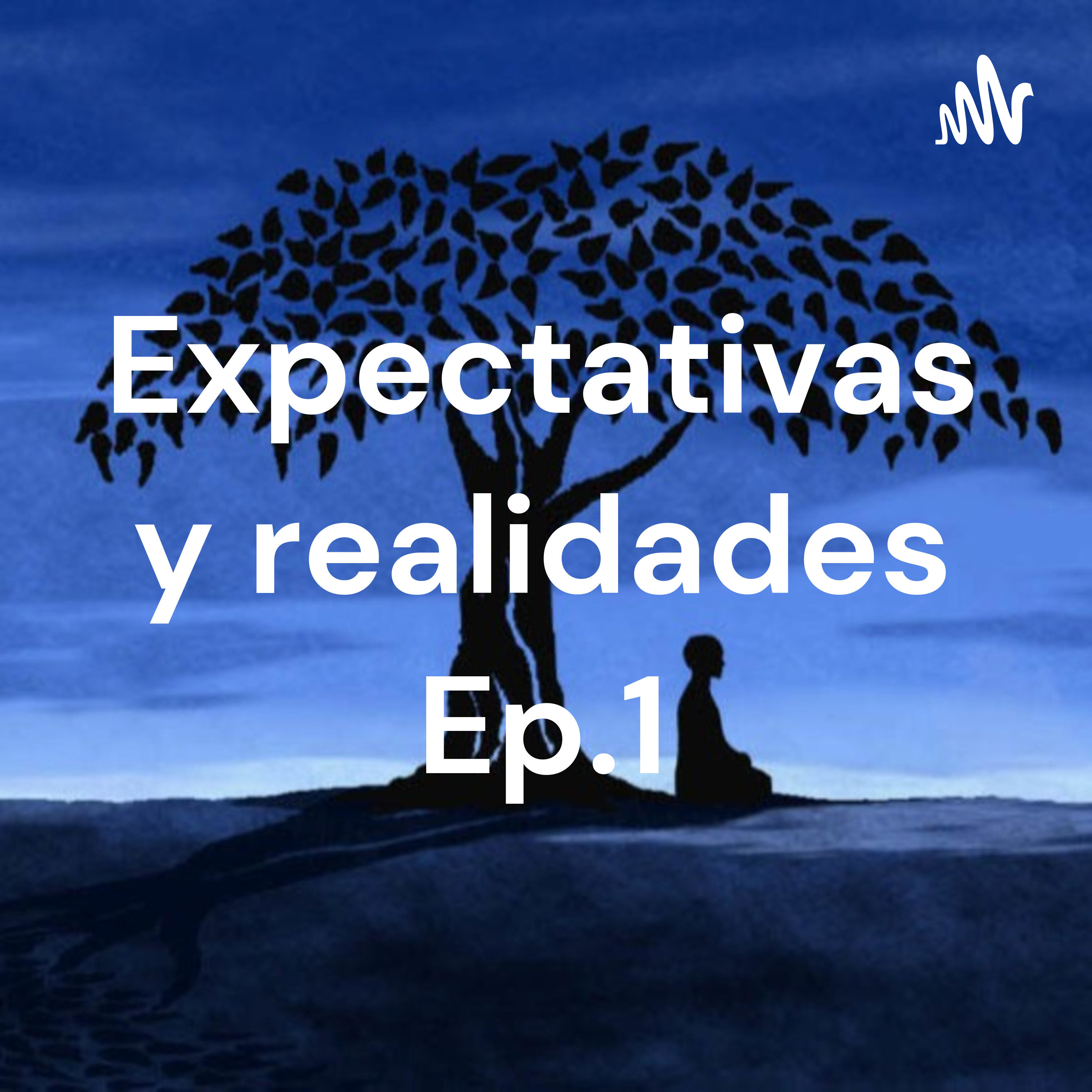 Expectativas y realidades Ep.1