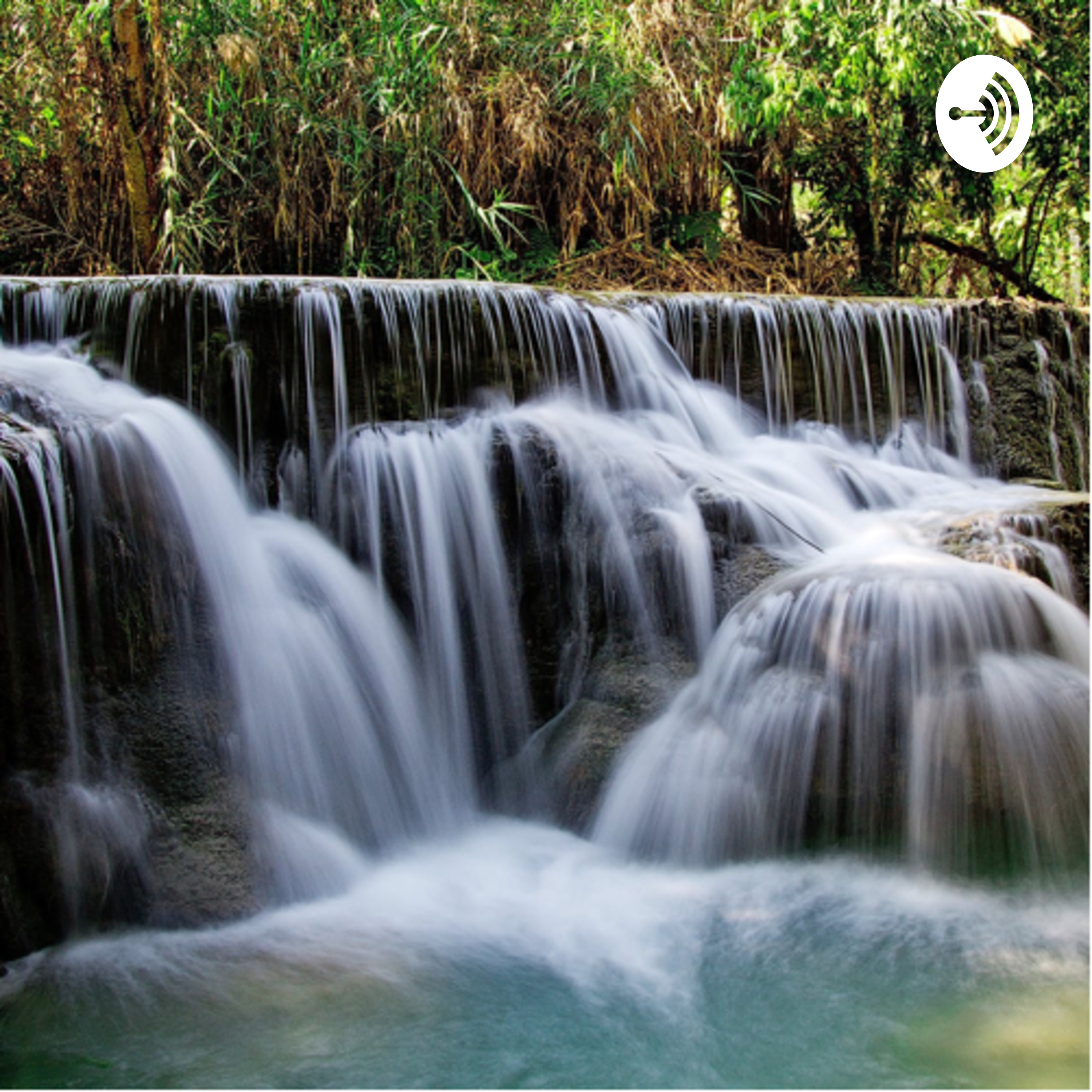 the springs