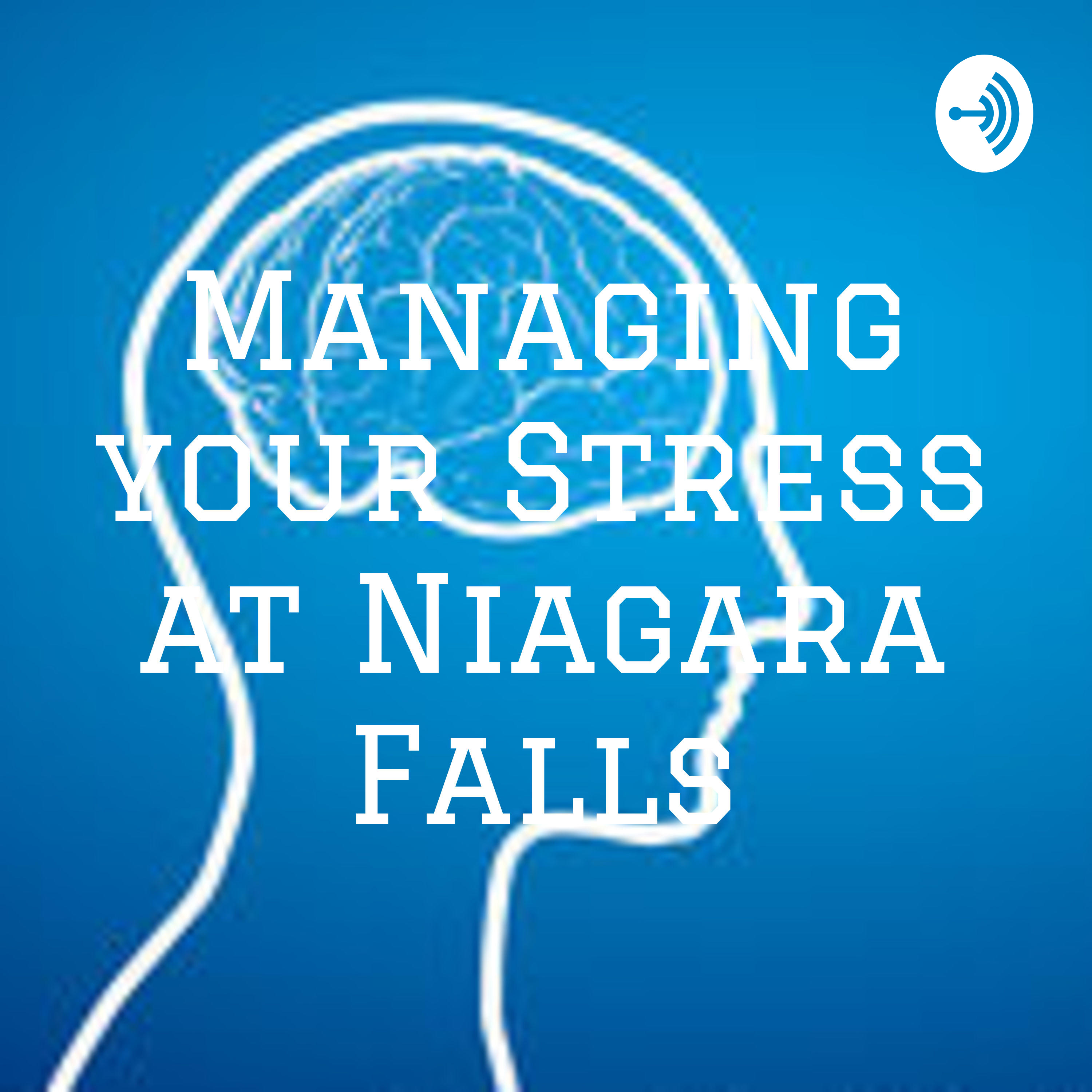 Managing your Stress at Niagara Falls