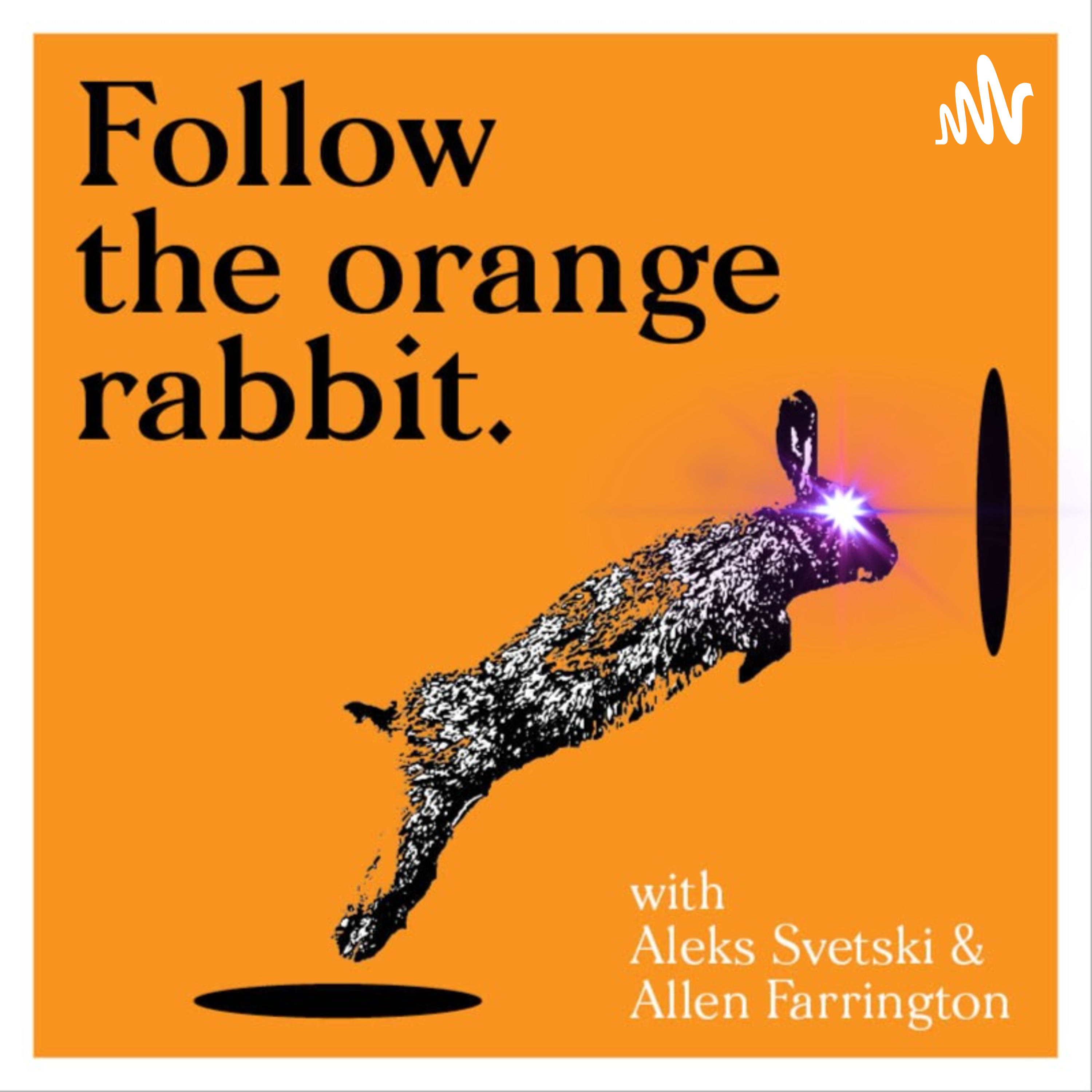 Follow the Orange Rabbit