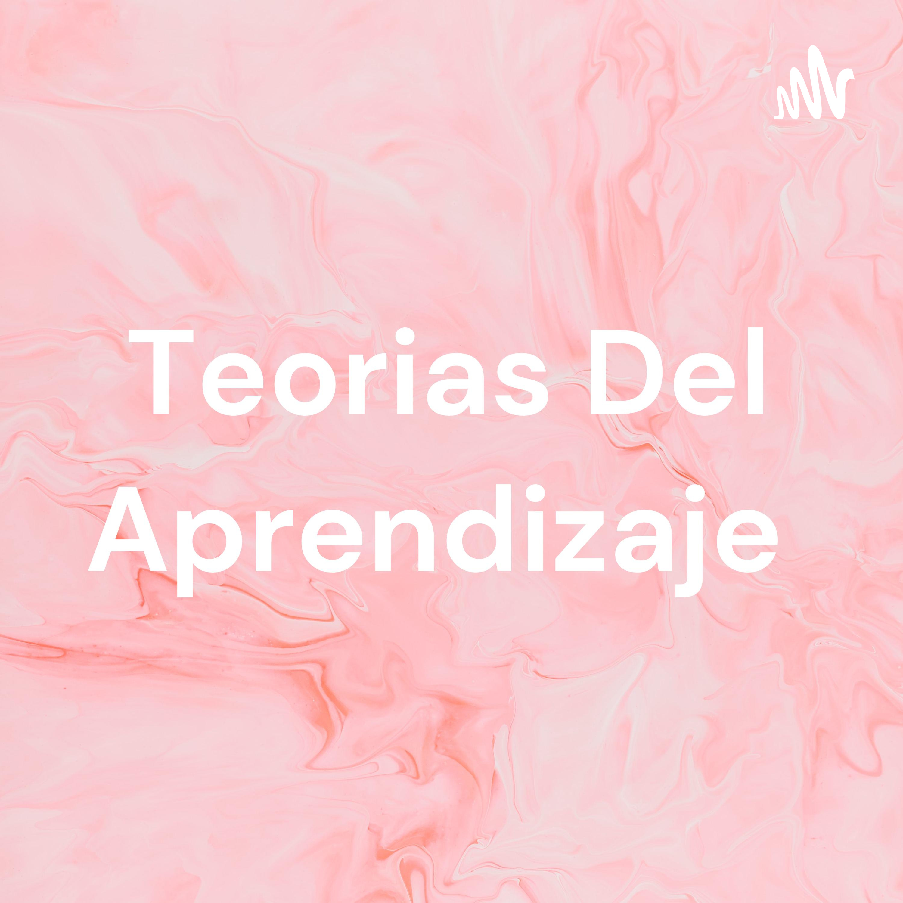 Teorias Del Aprendizaje 