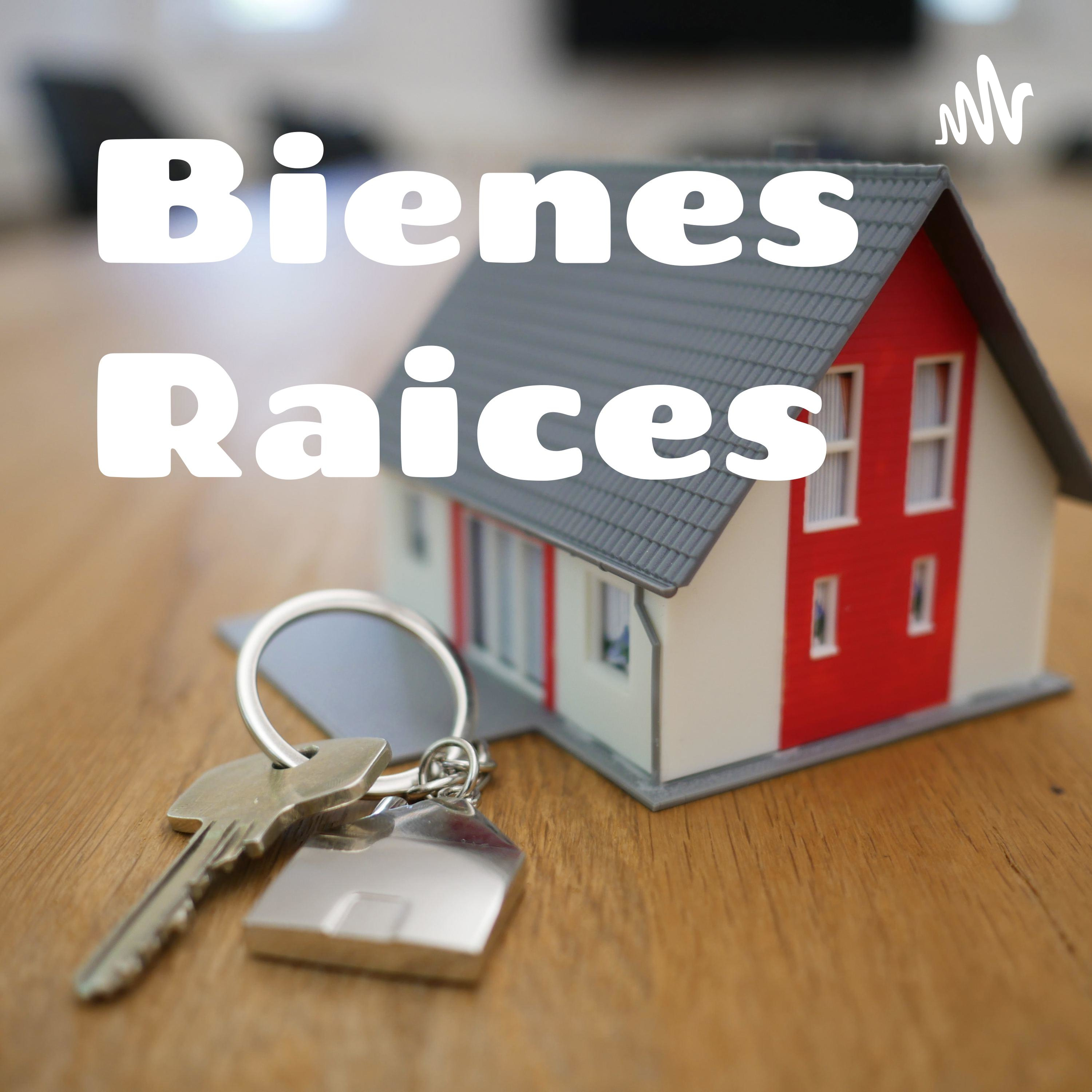 Bienes Raices