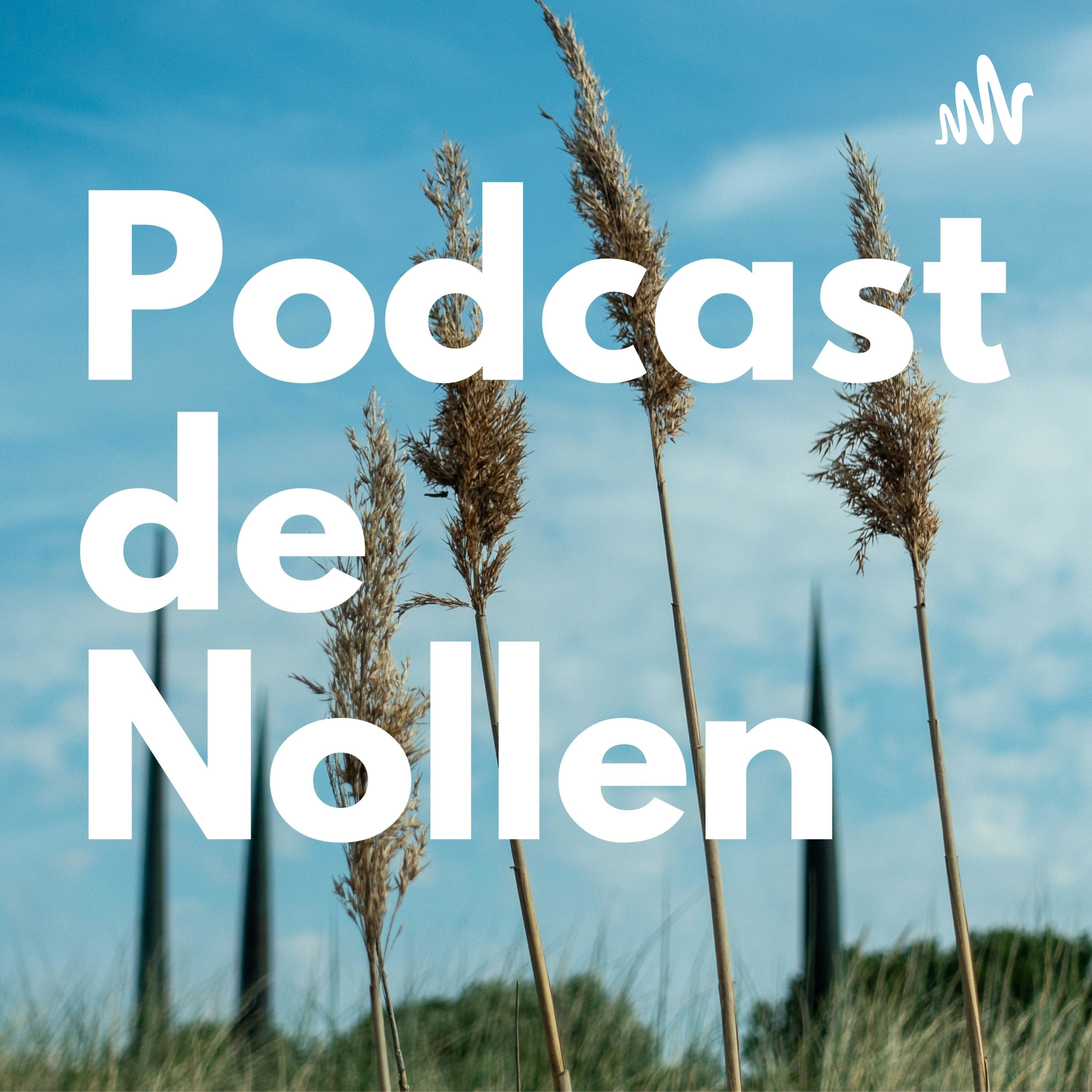 Ruud van de Wint x Stedelijk Alkmaar cover