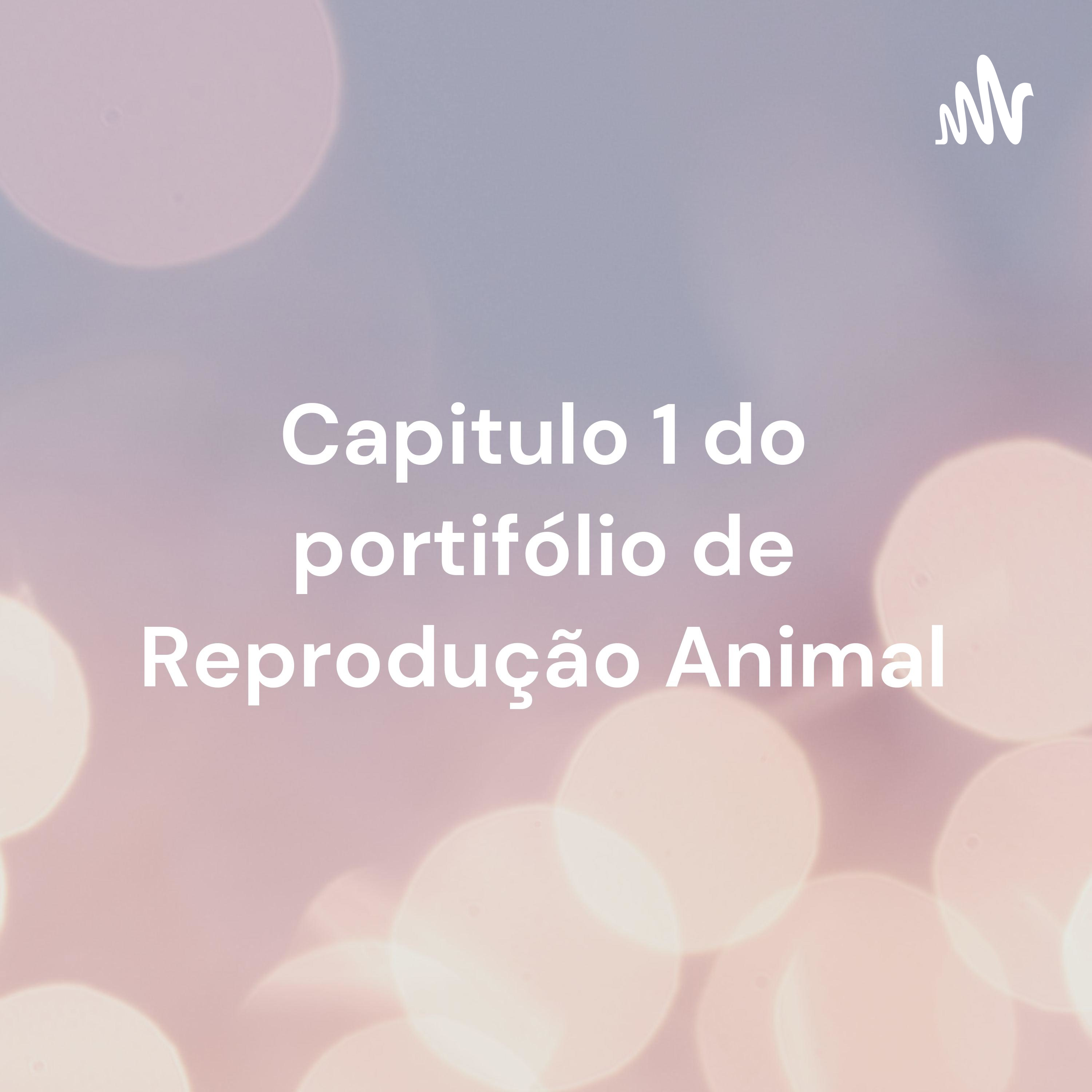 Meus podcasts