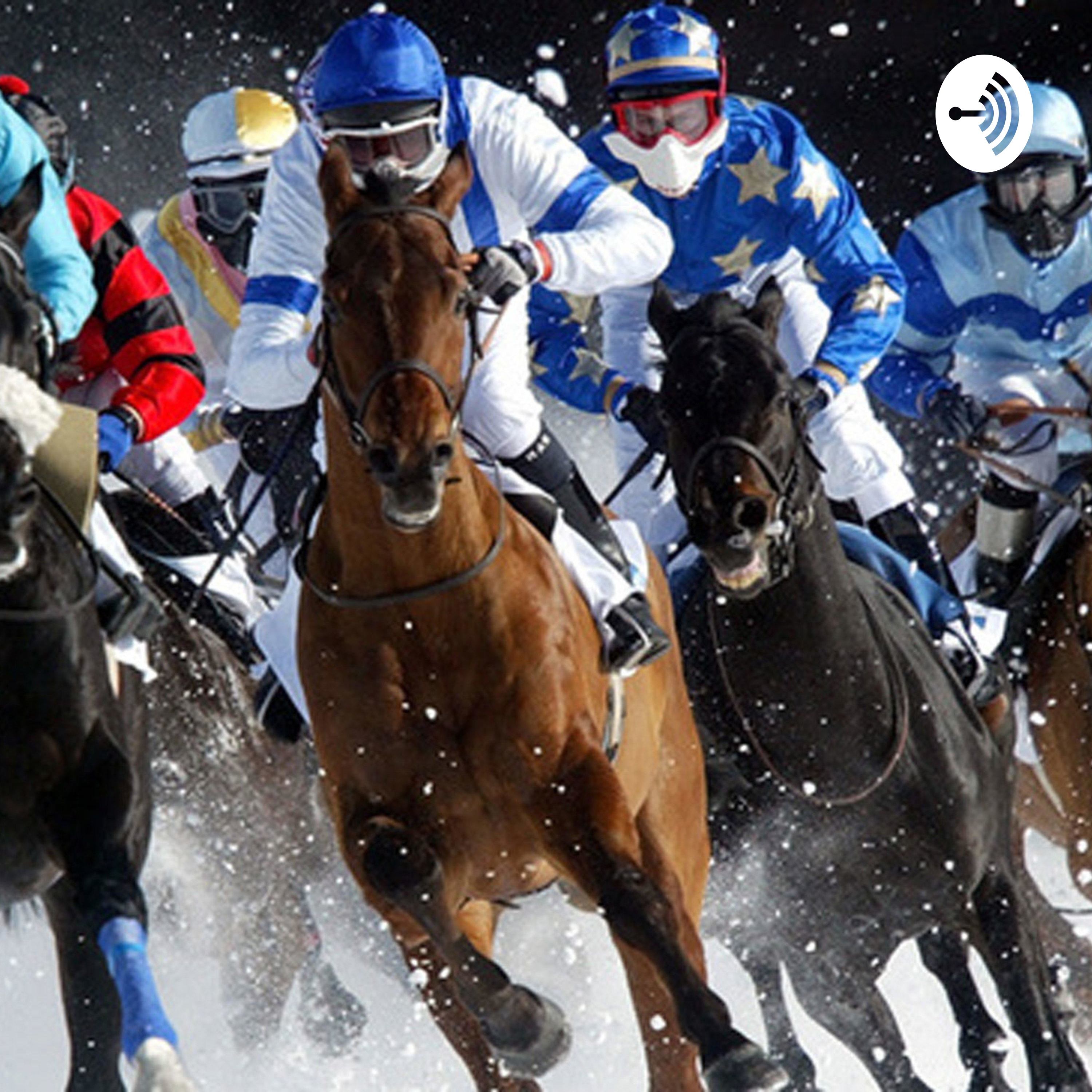 経済学博士の競馬予想ブログ